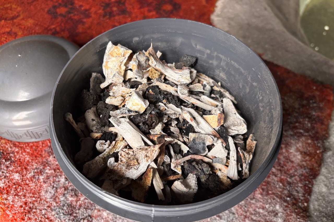 Погост по ГОСТу: как в Москве хоронят домашних животных