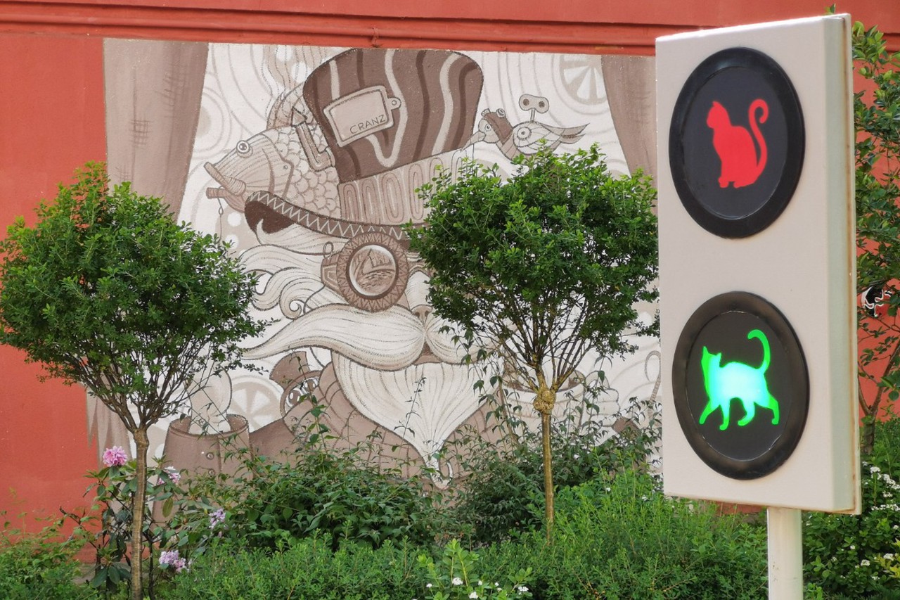 День кошек 1 марта: история и традиции праздника в России