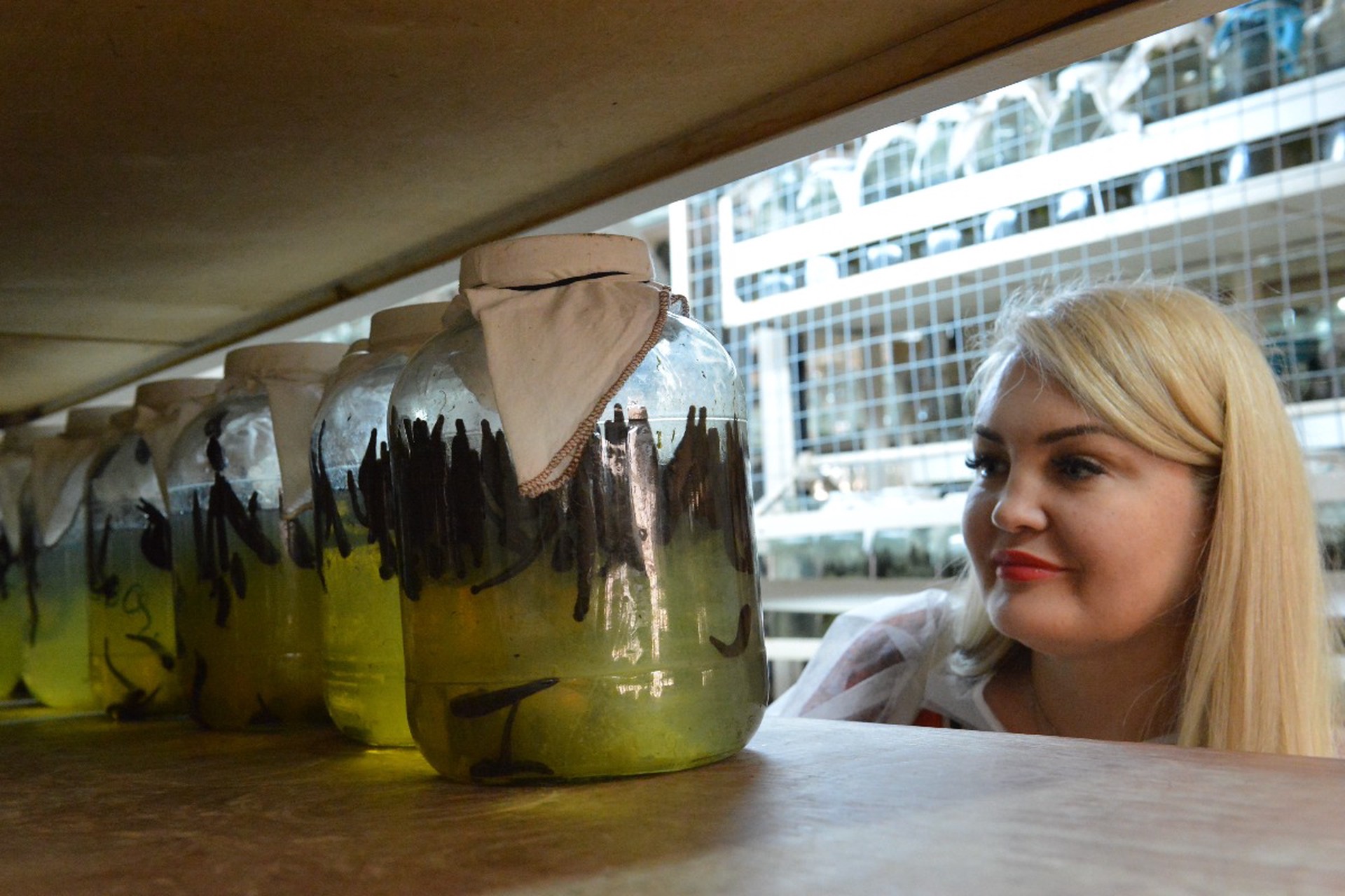 В университетах возвращаются к медицине с пиявками и травами