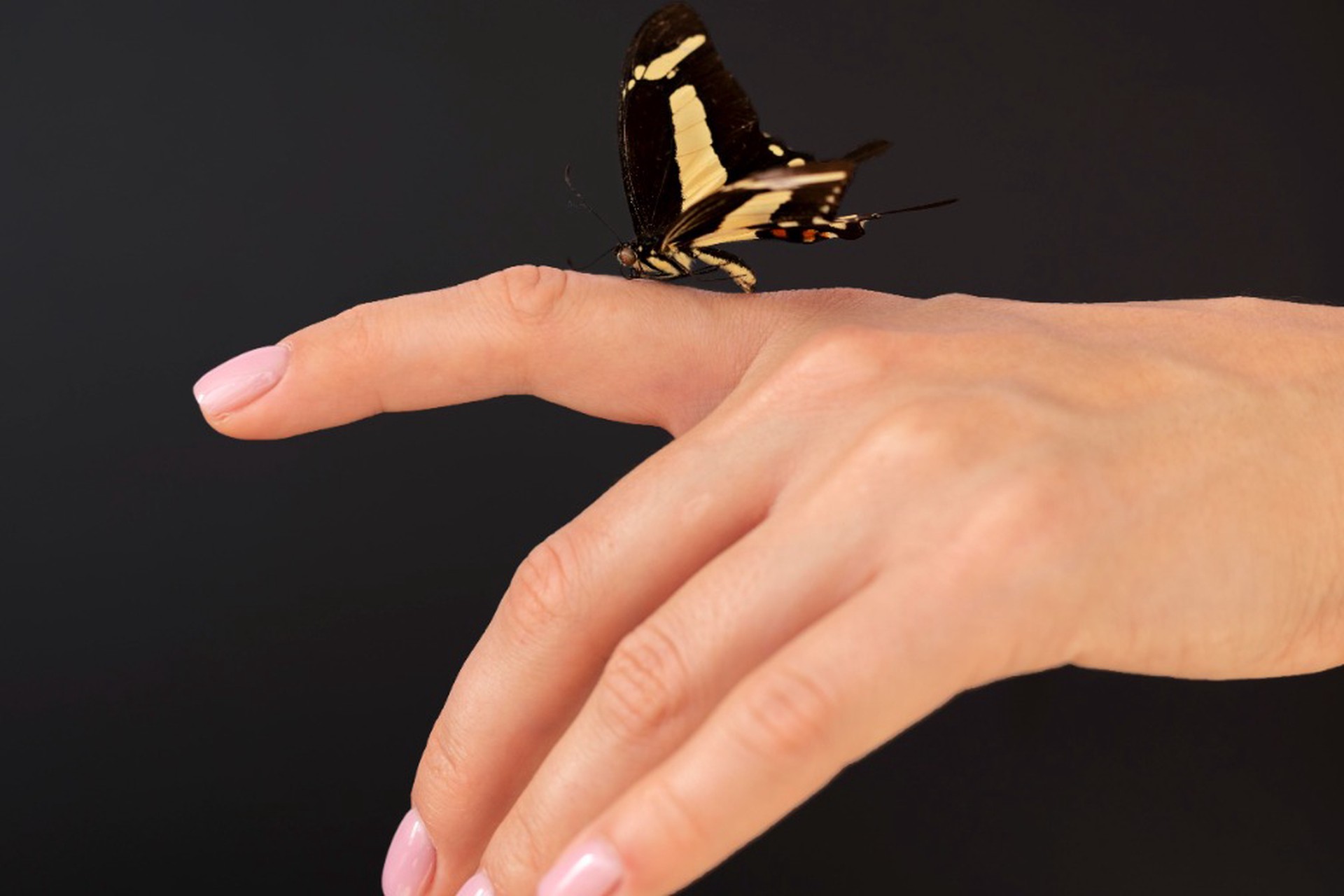 Ученые впервые в истории вырастили живое существо в космосе