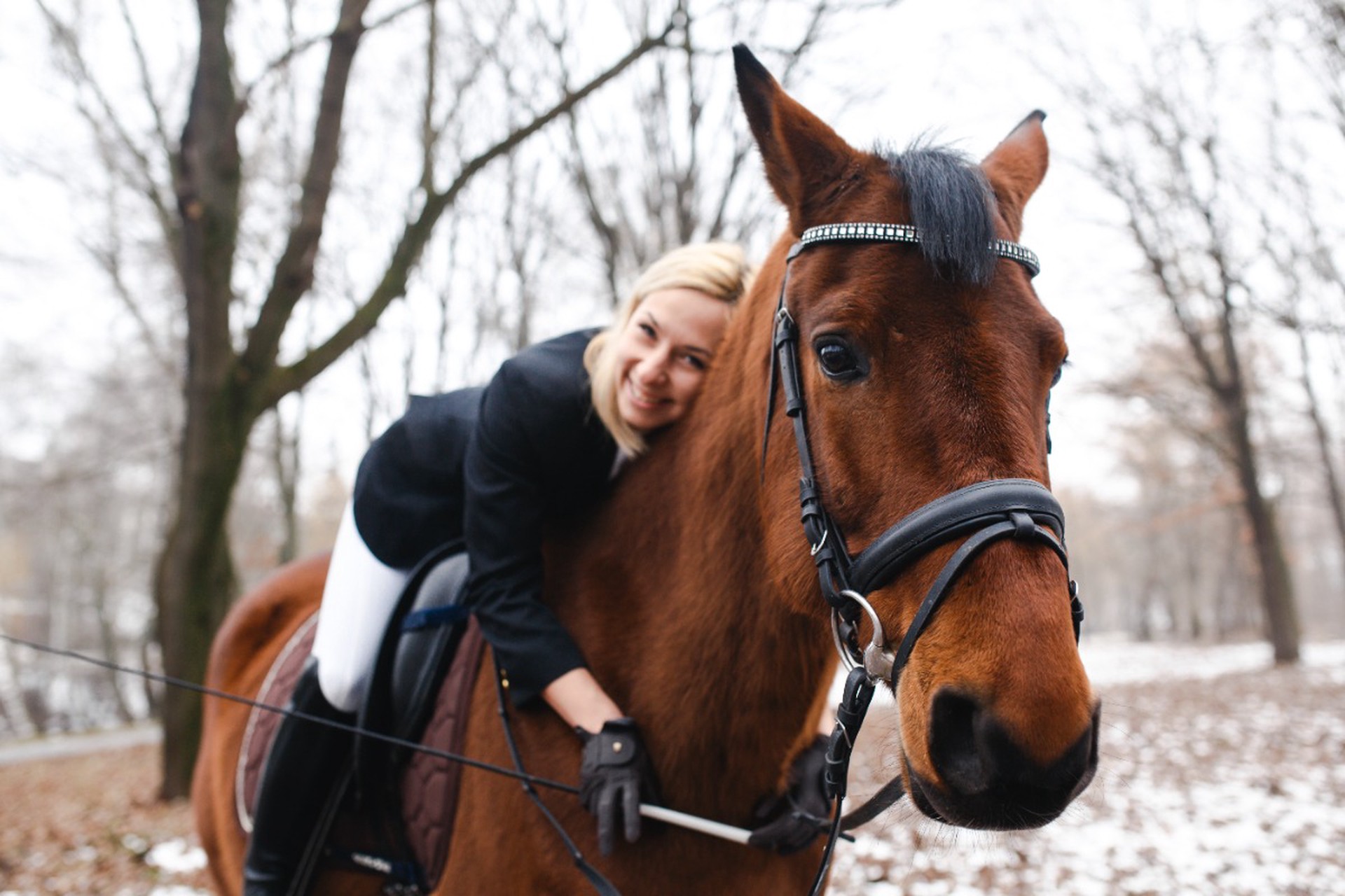 Китайский гороскоп на 2026 год: что ждет в год Лошади рожденных под разными знаками