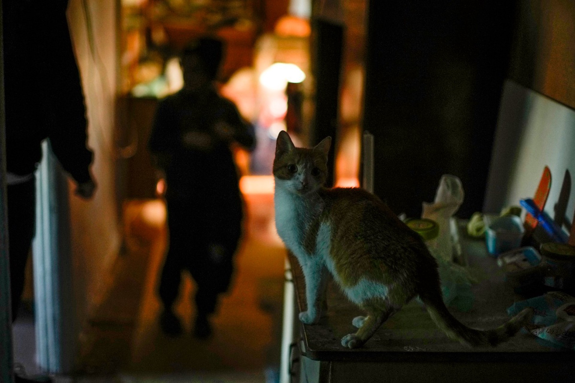 Свет за свой счет: киевлян вынудили оплачивать ремонт электросетей