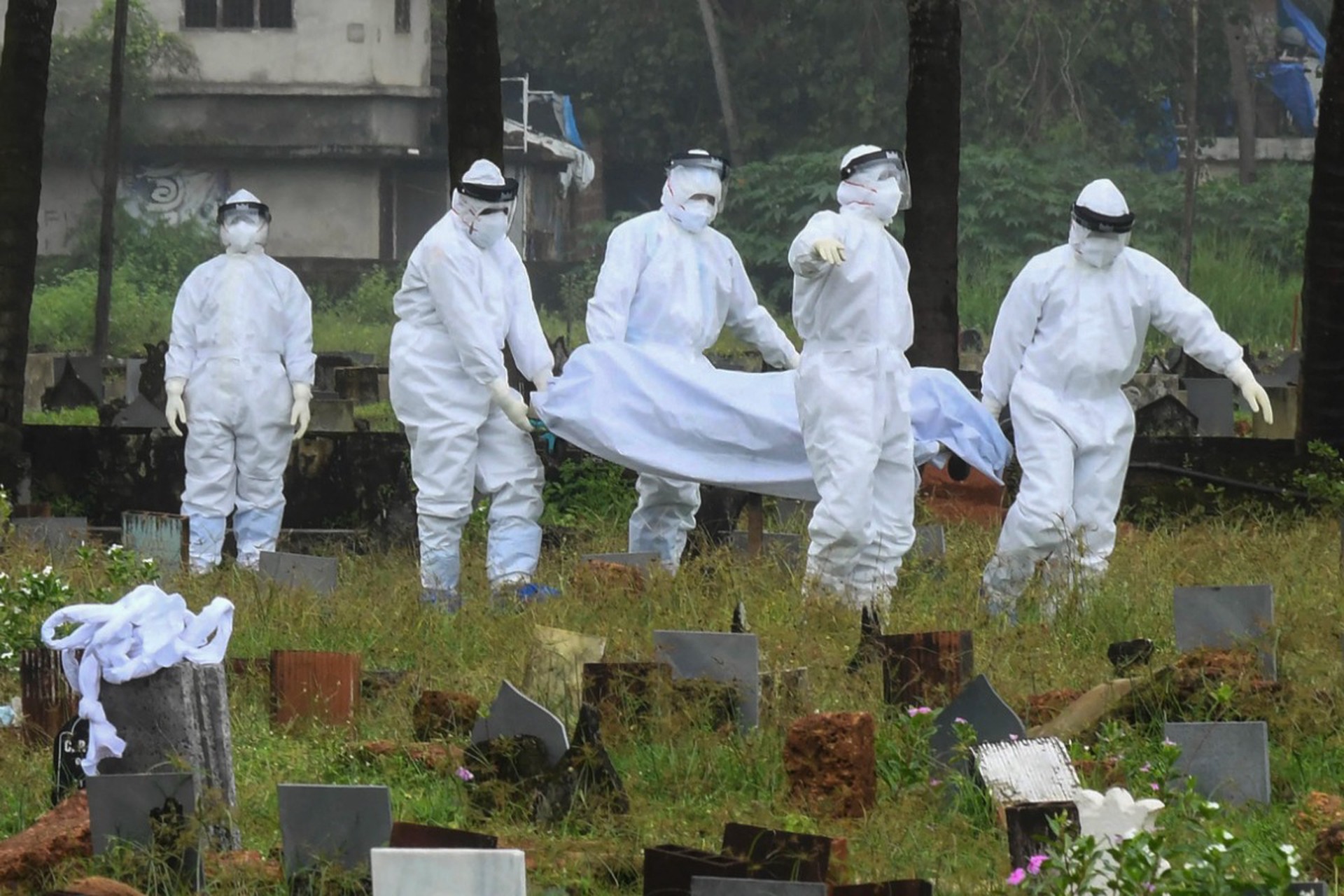 Смертельный вирус Нипах вышел за пределы Индии