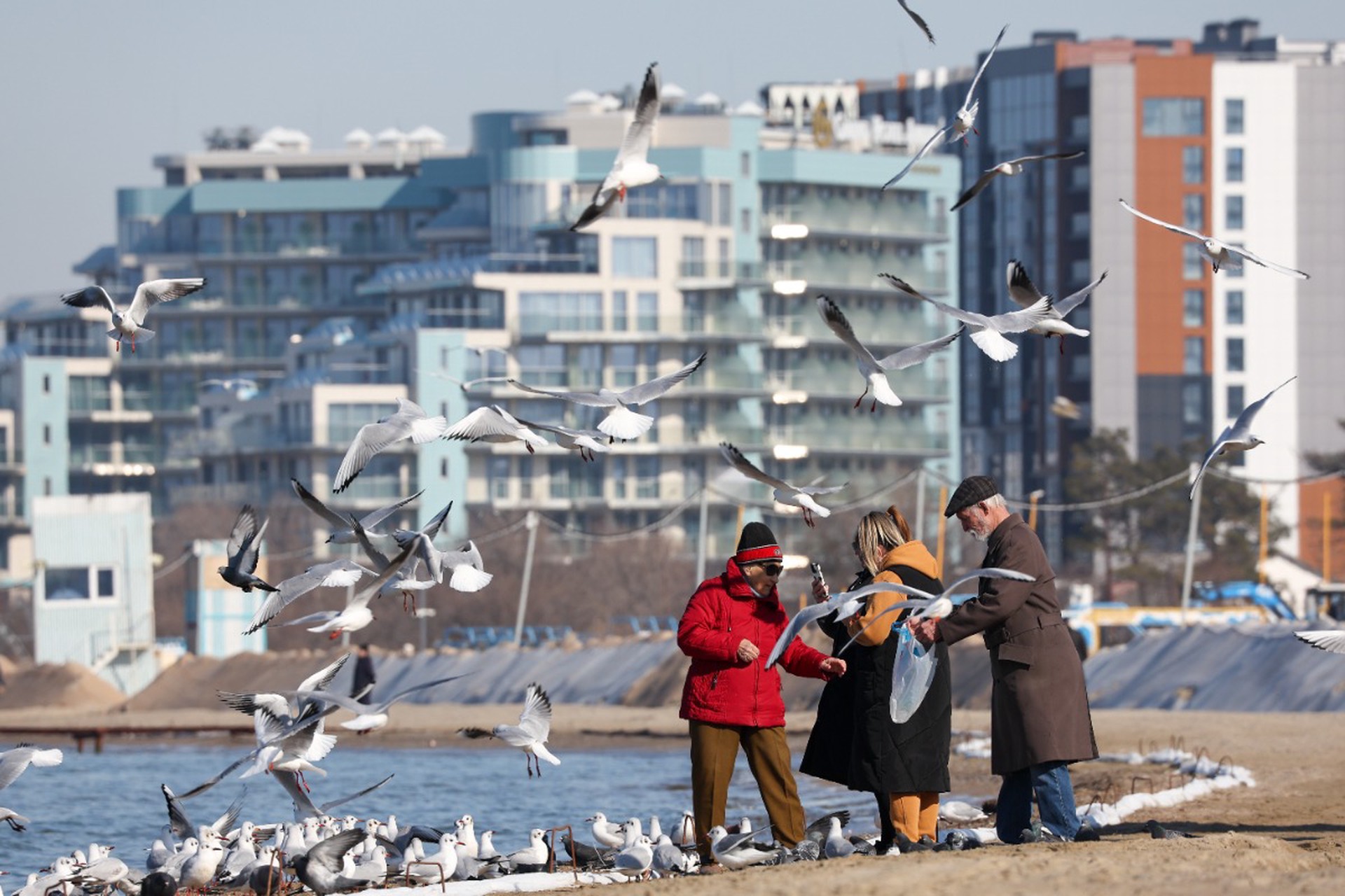 Жители Кубани поделились страшными подробностями о ночном землетрясении