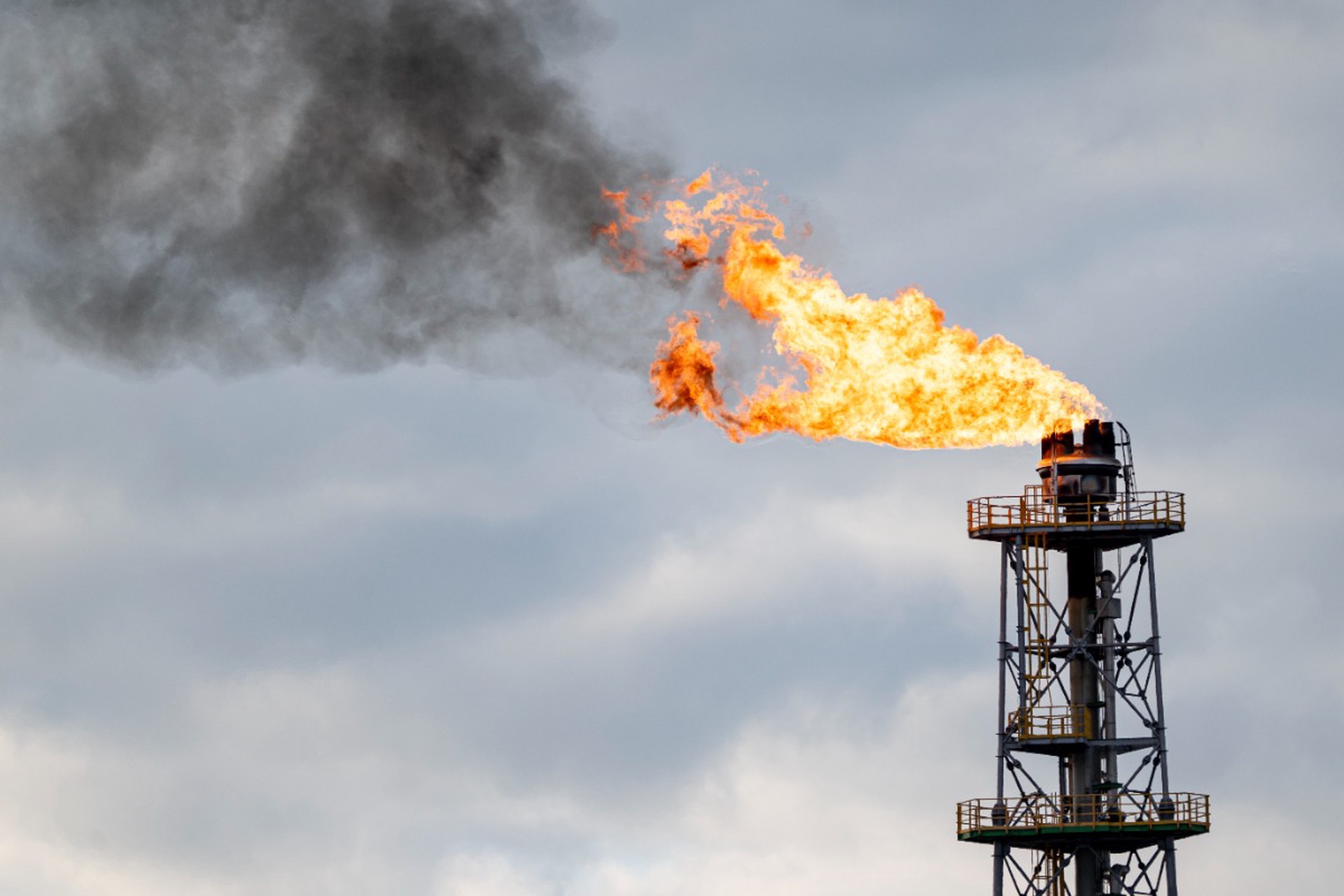 Черное золото: санкции против России ударили по карману Германии