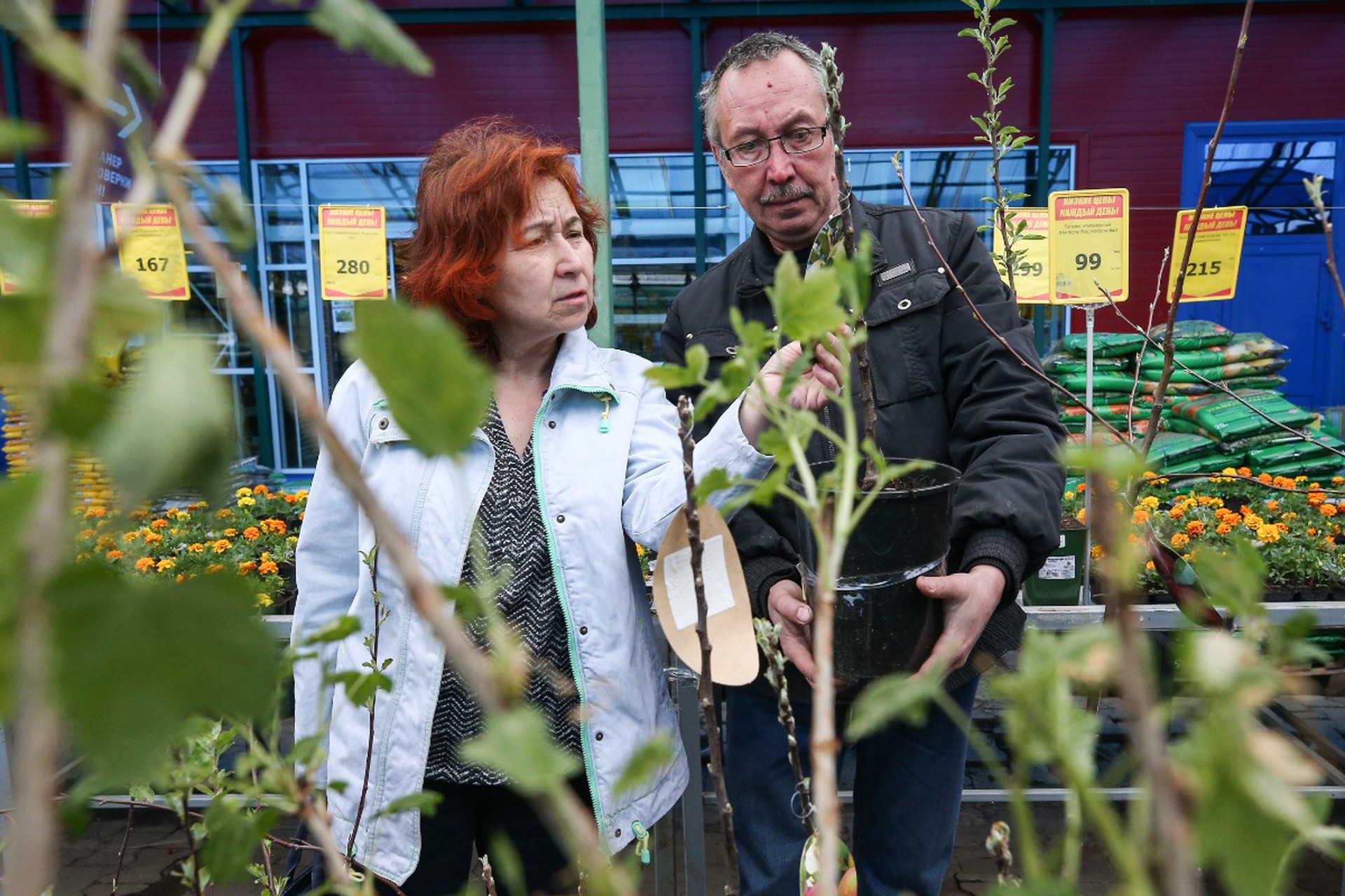 Агроном дал совет, как подготовить сад и огород к весне