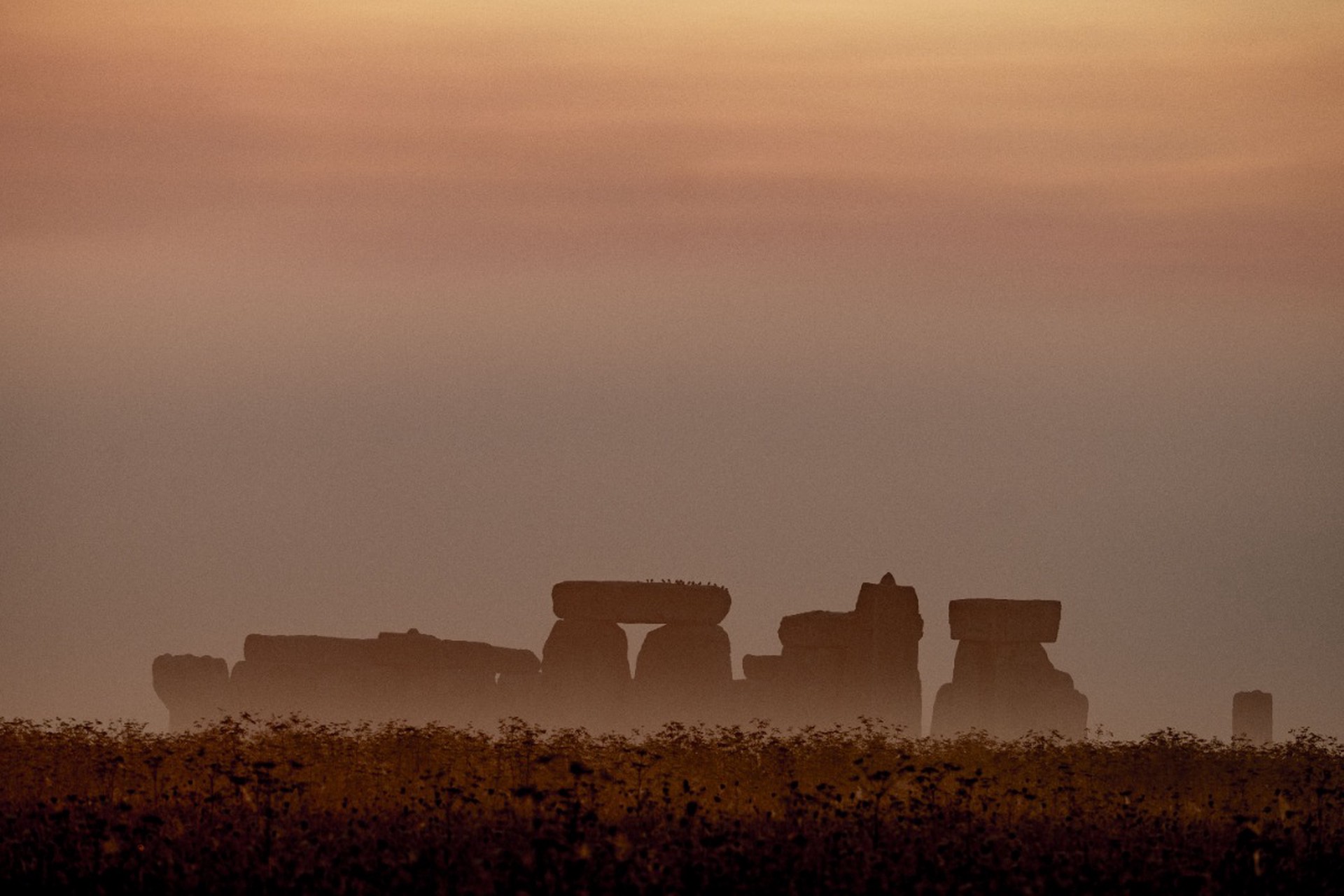 Установлены мигранты, которые изжили строителей Стоунхенджа