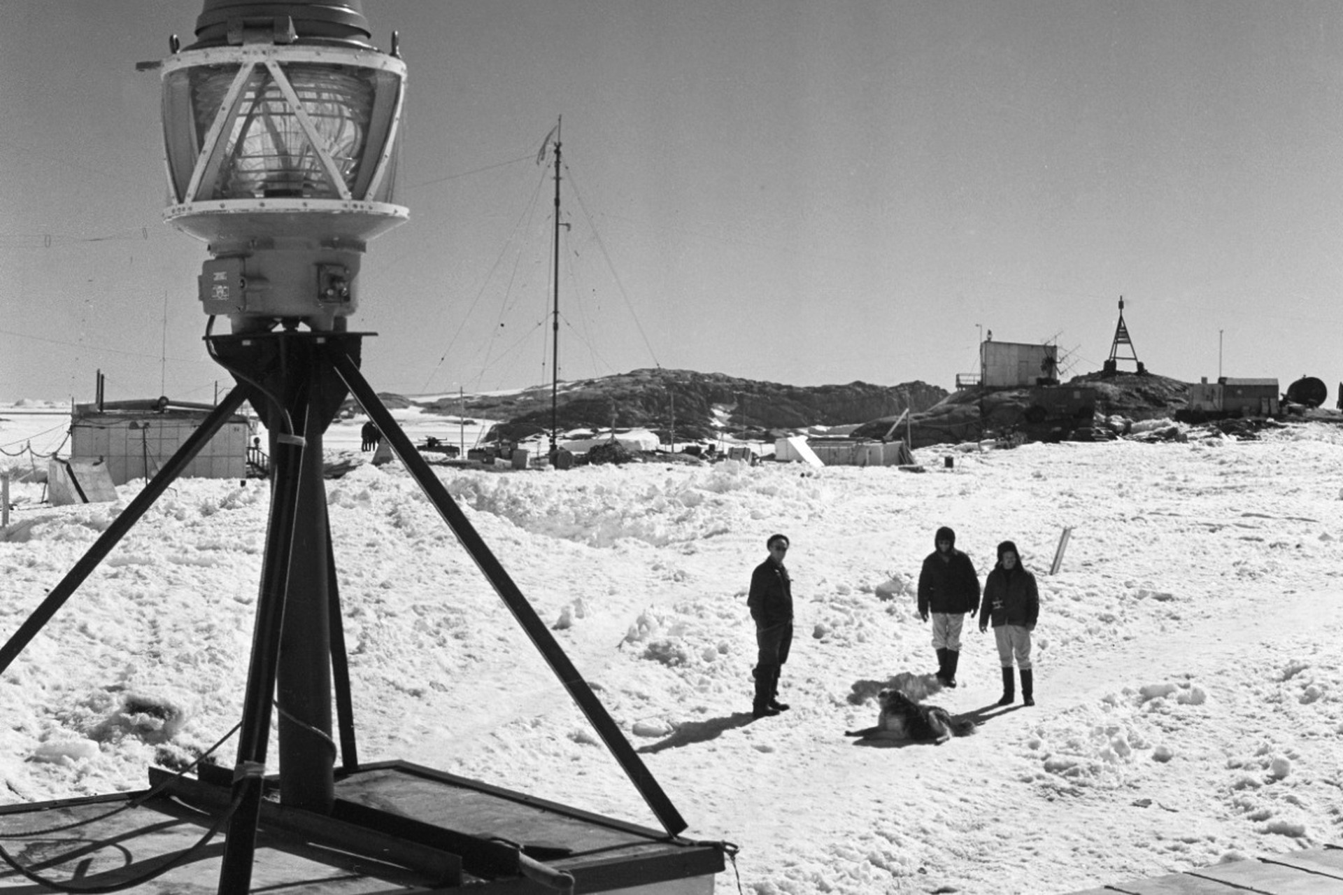 Пришли с «Мирным»: как СССР сохранил южный континент для человечества