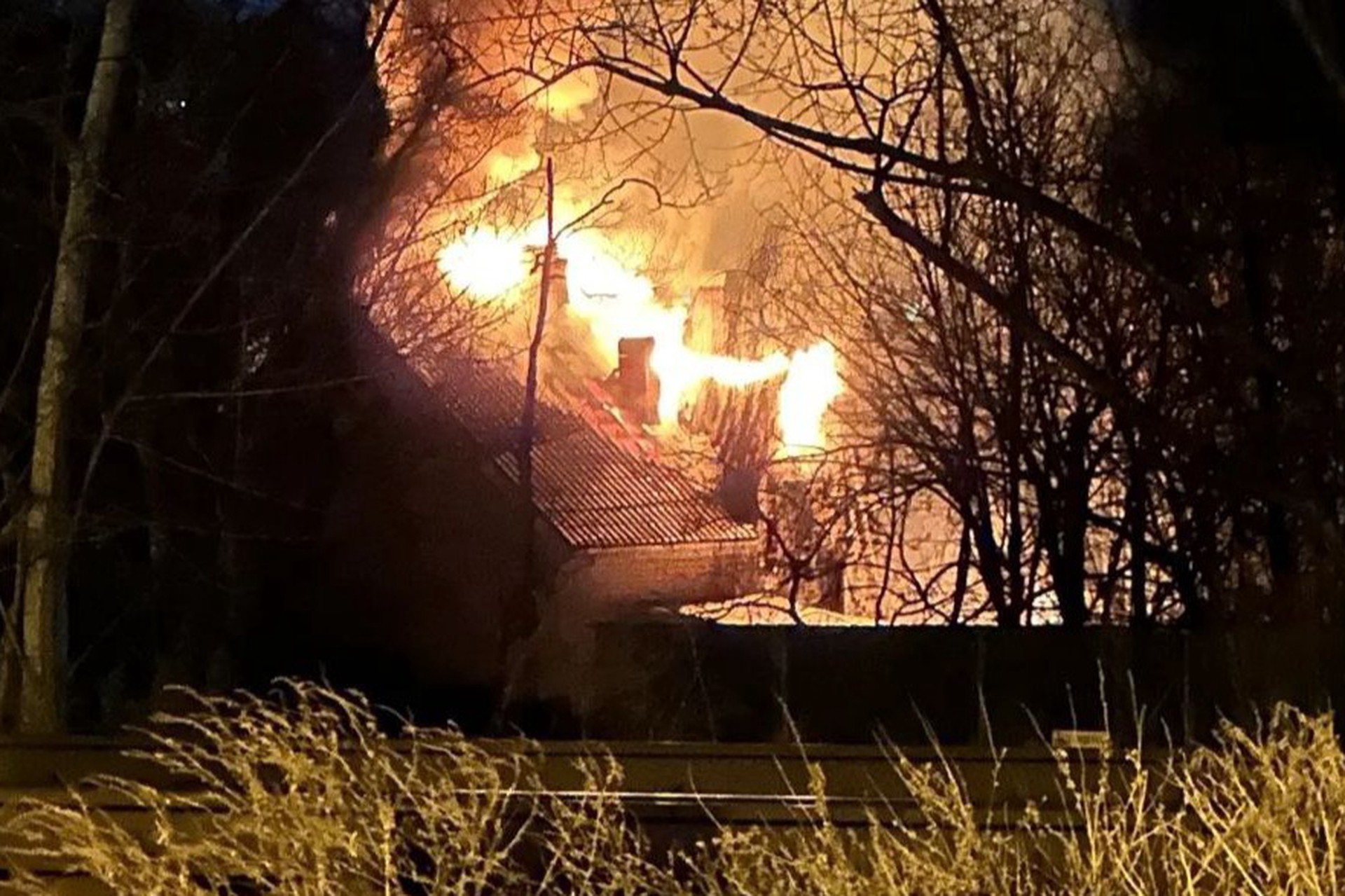 Мощный пожар охватил зоопарк Владивостока