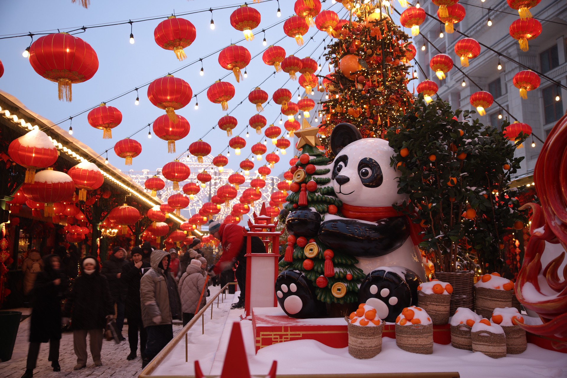 Китайский Новый год в России помог бойцам СВО