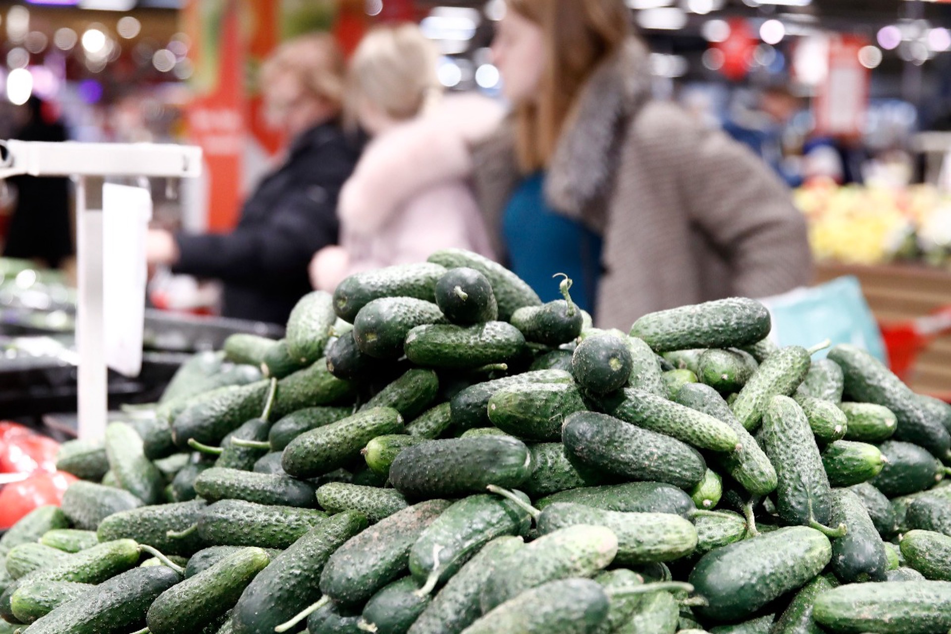 Разброс цен на огурцы достиг колоссальных масштабов