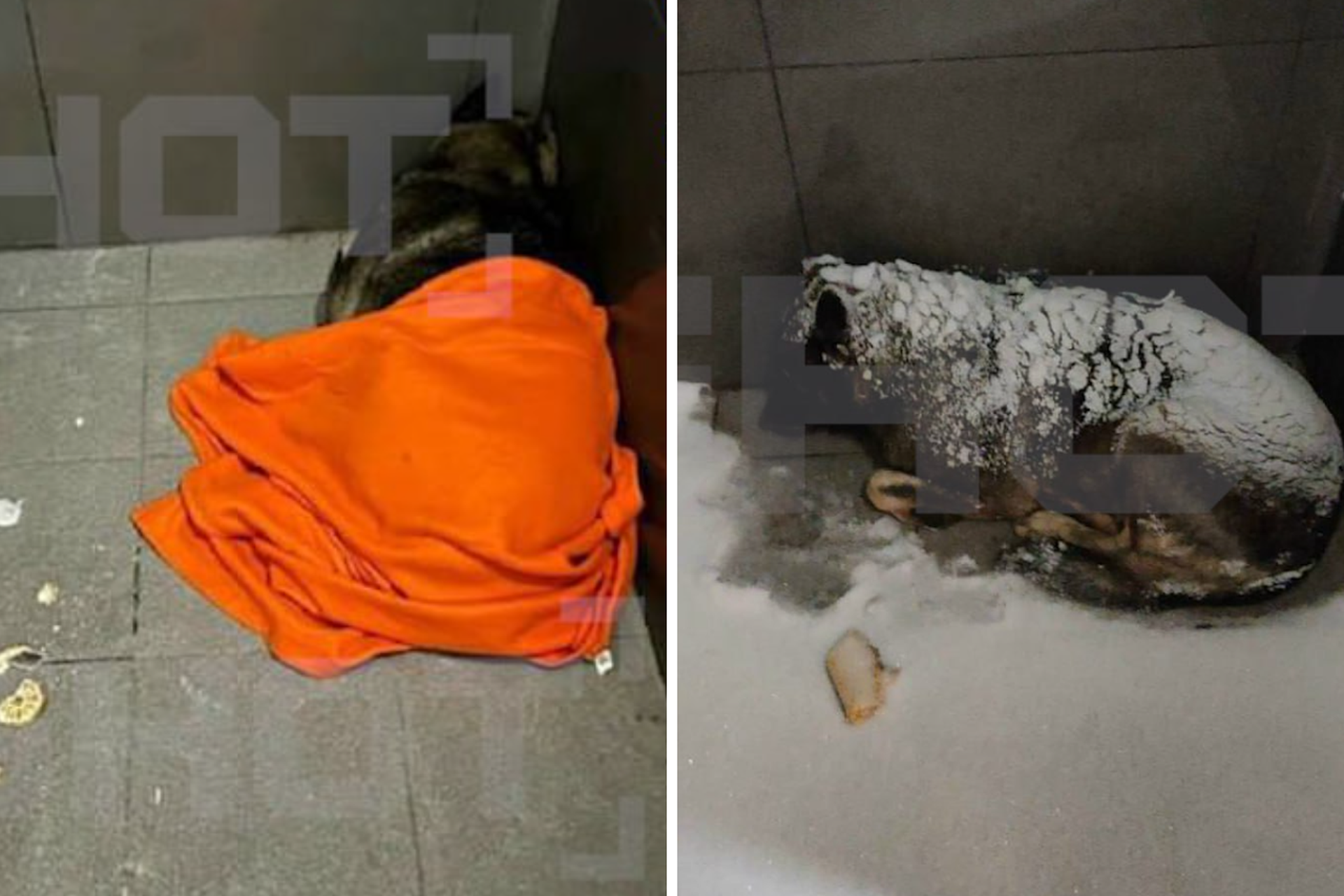 Работника известной пиццерии со скандалом уволили за добрый поступок