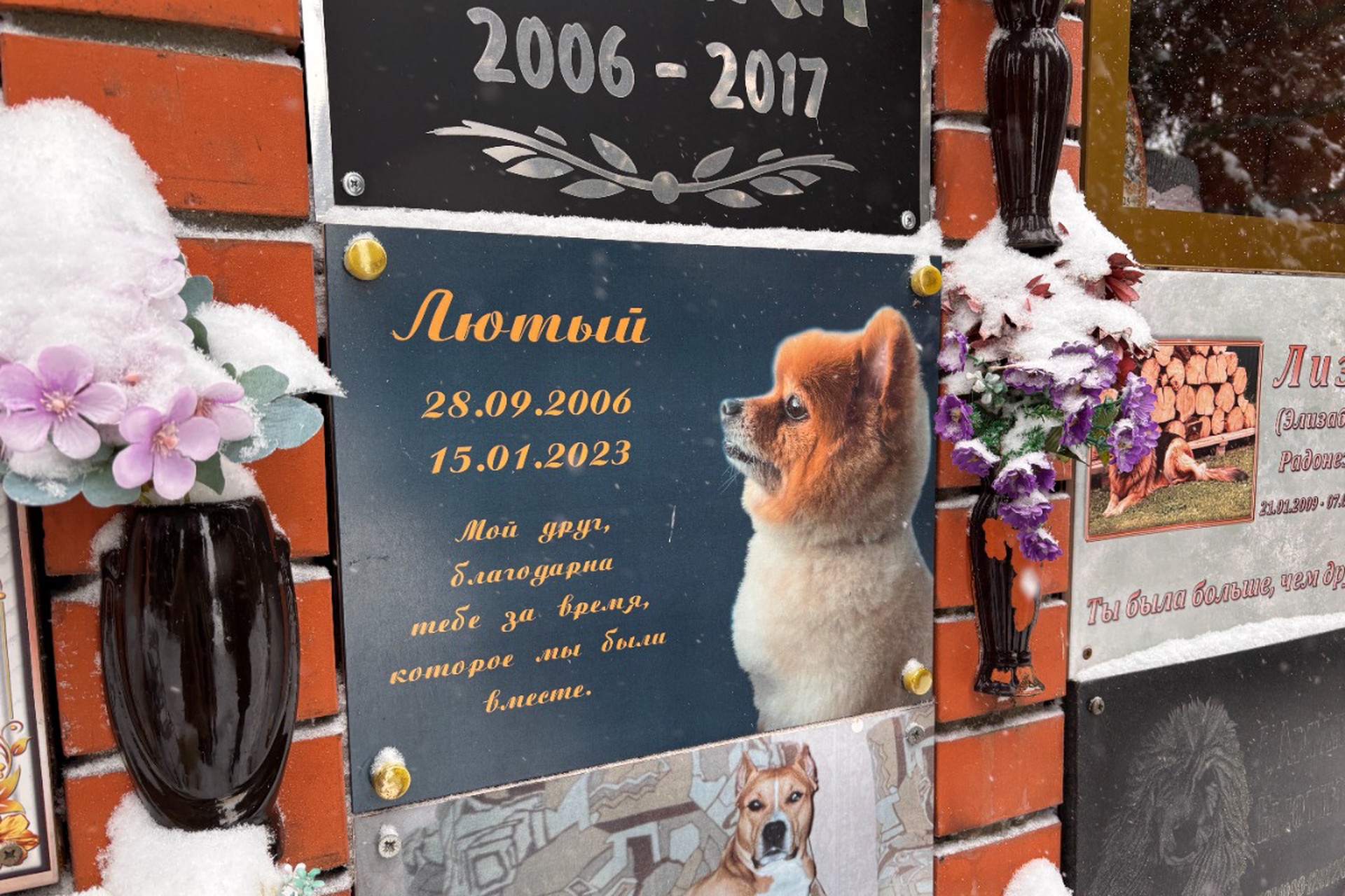 В РПЦ объяснили, почему на могиле животного нельзя ставить крест