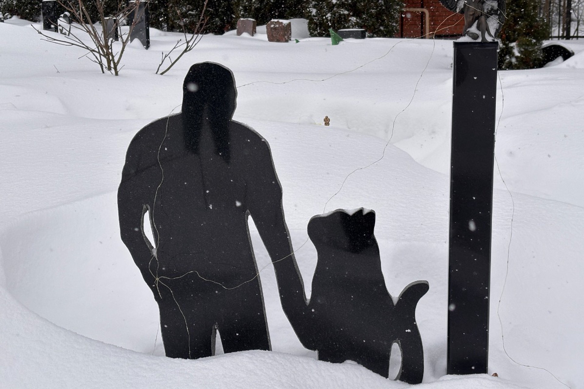 Погост по ГОСТу: как в Москве хоронят домашних животных