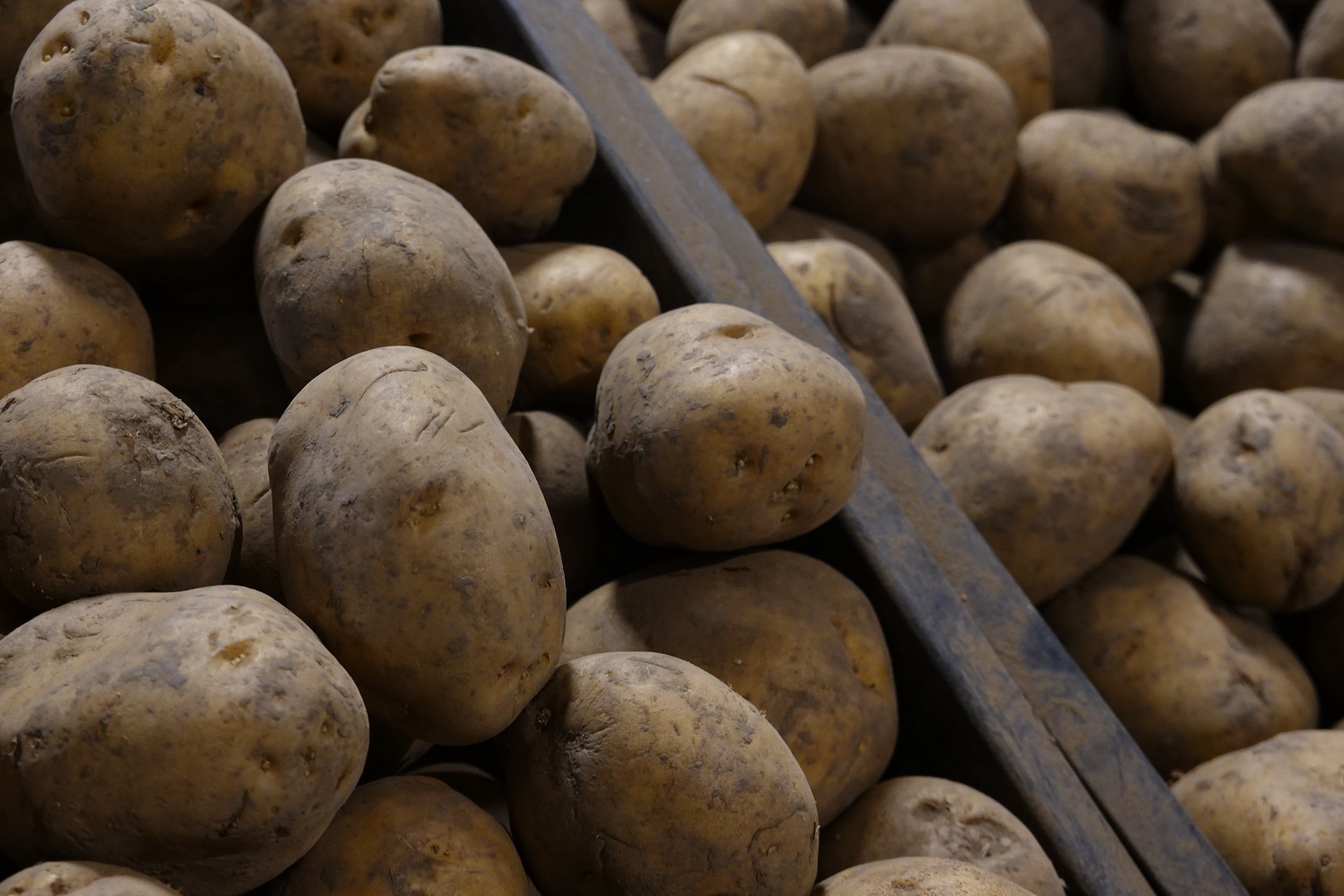 Картофель могут начать продавать по минимальной цене