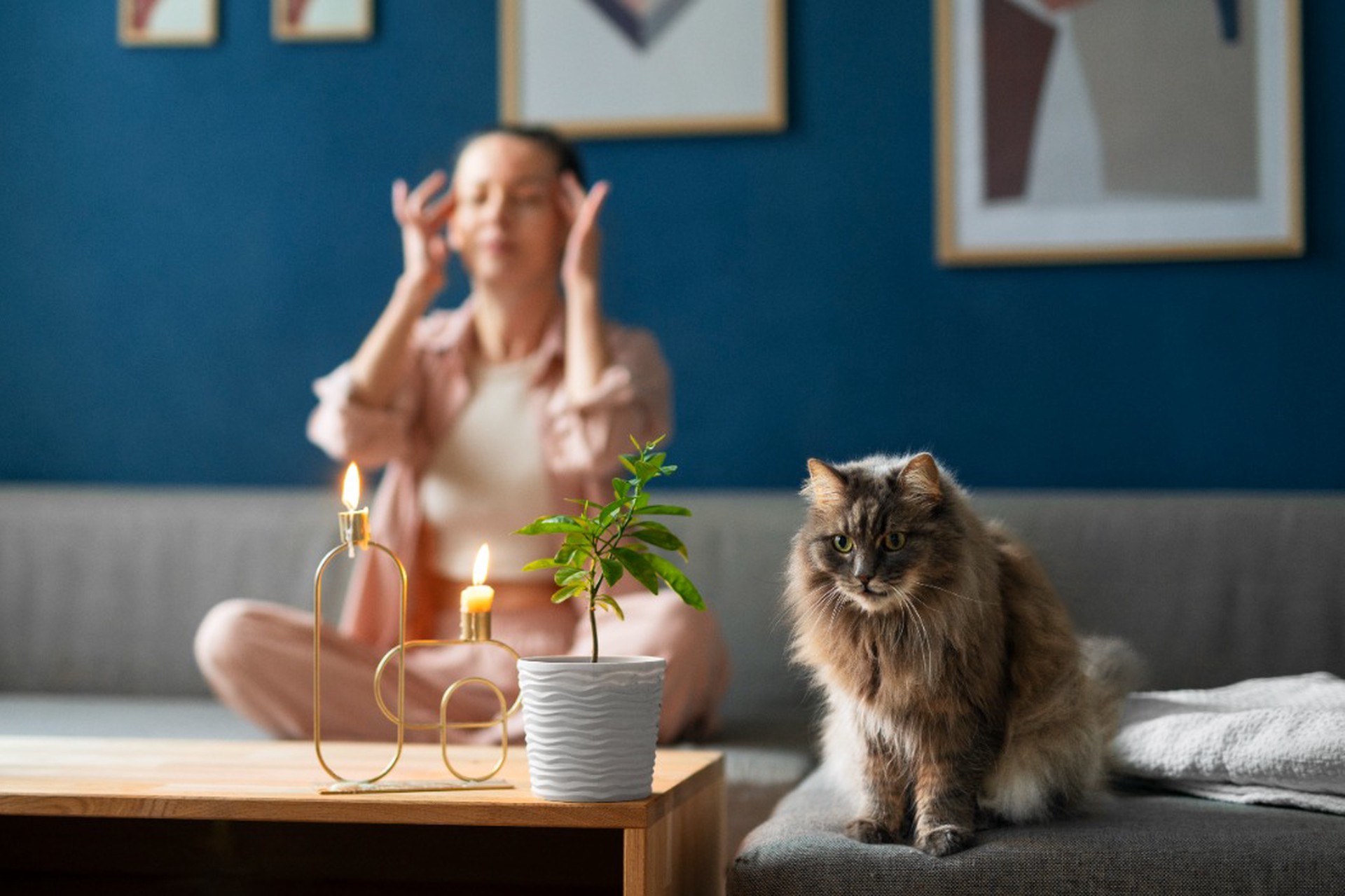 Ветеринар назвал домашние растения – убийцы кошек