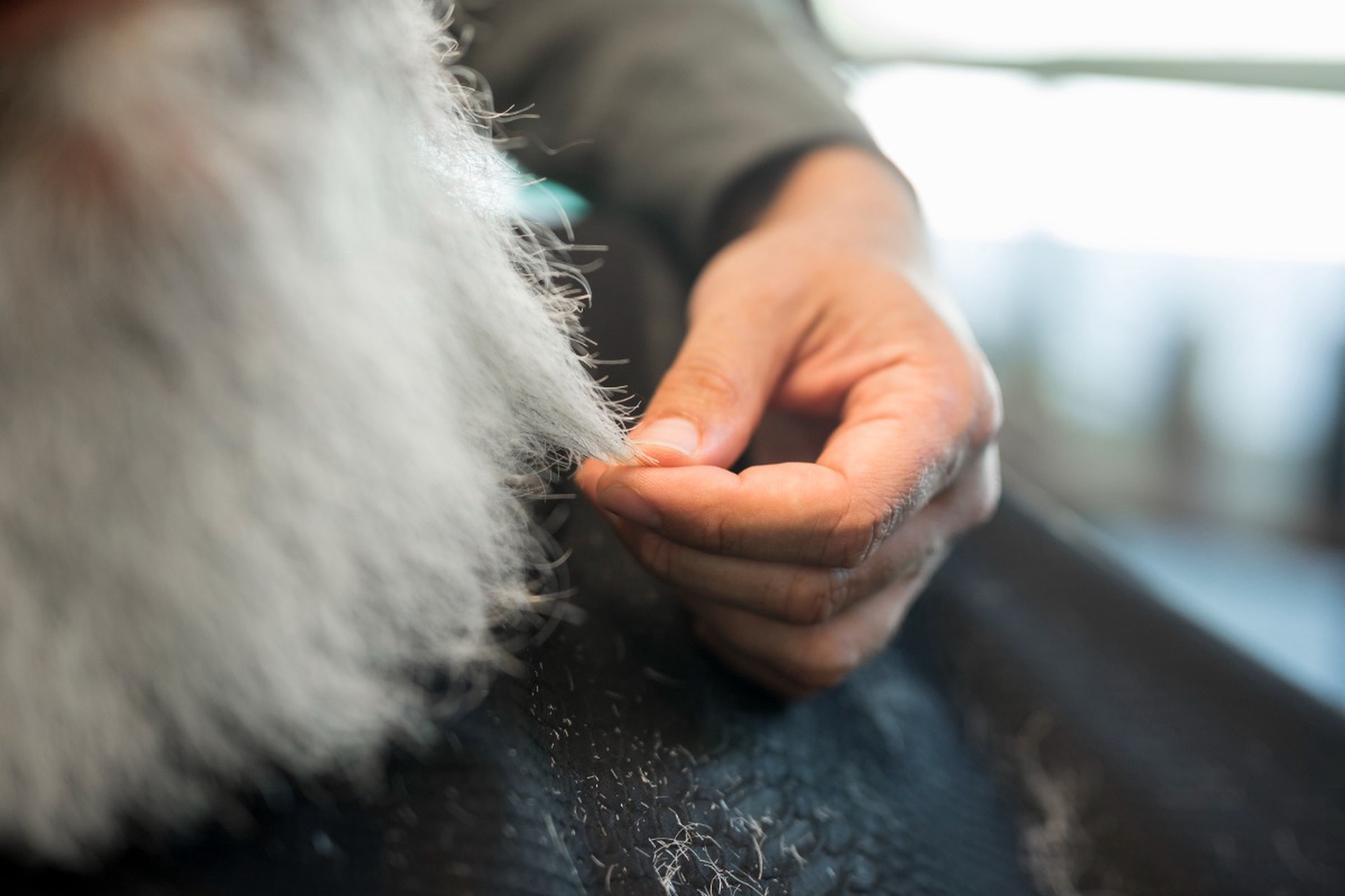 Как правильно убирать шерсть в сезон линьки, рассказал эксперт