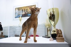 Фото © Анастасия Романова / Абзац