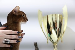 Фото © Анастасия Романова / Абзац