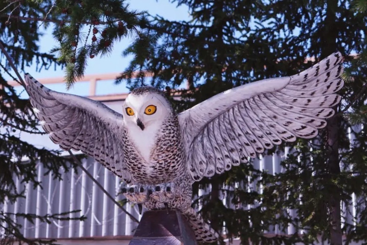 Тюрьмы особого режима: где сидят самые опасные преступники России