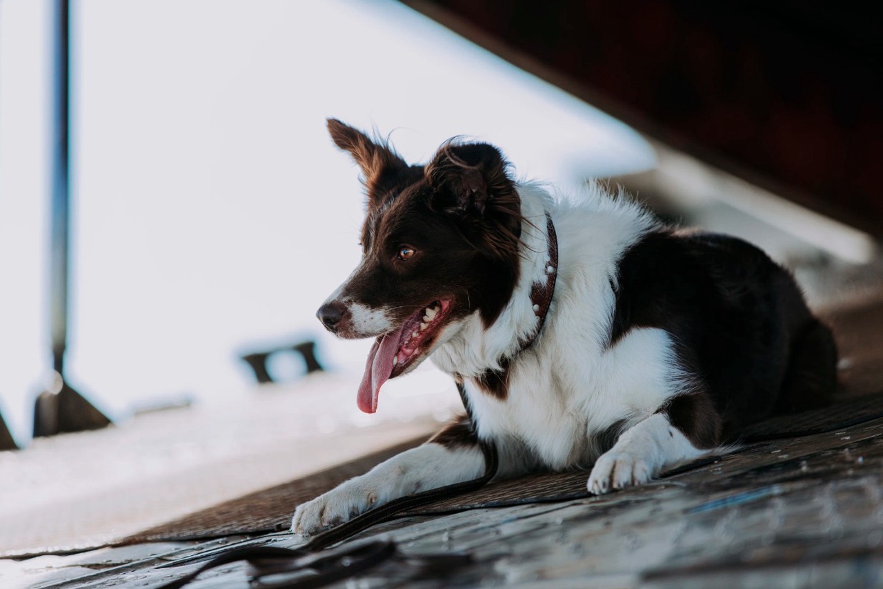 Киноафиша: какие фильмы выходят в прокат 26 марта