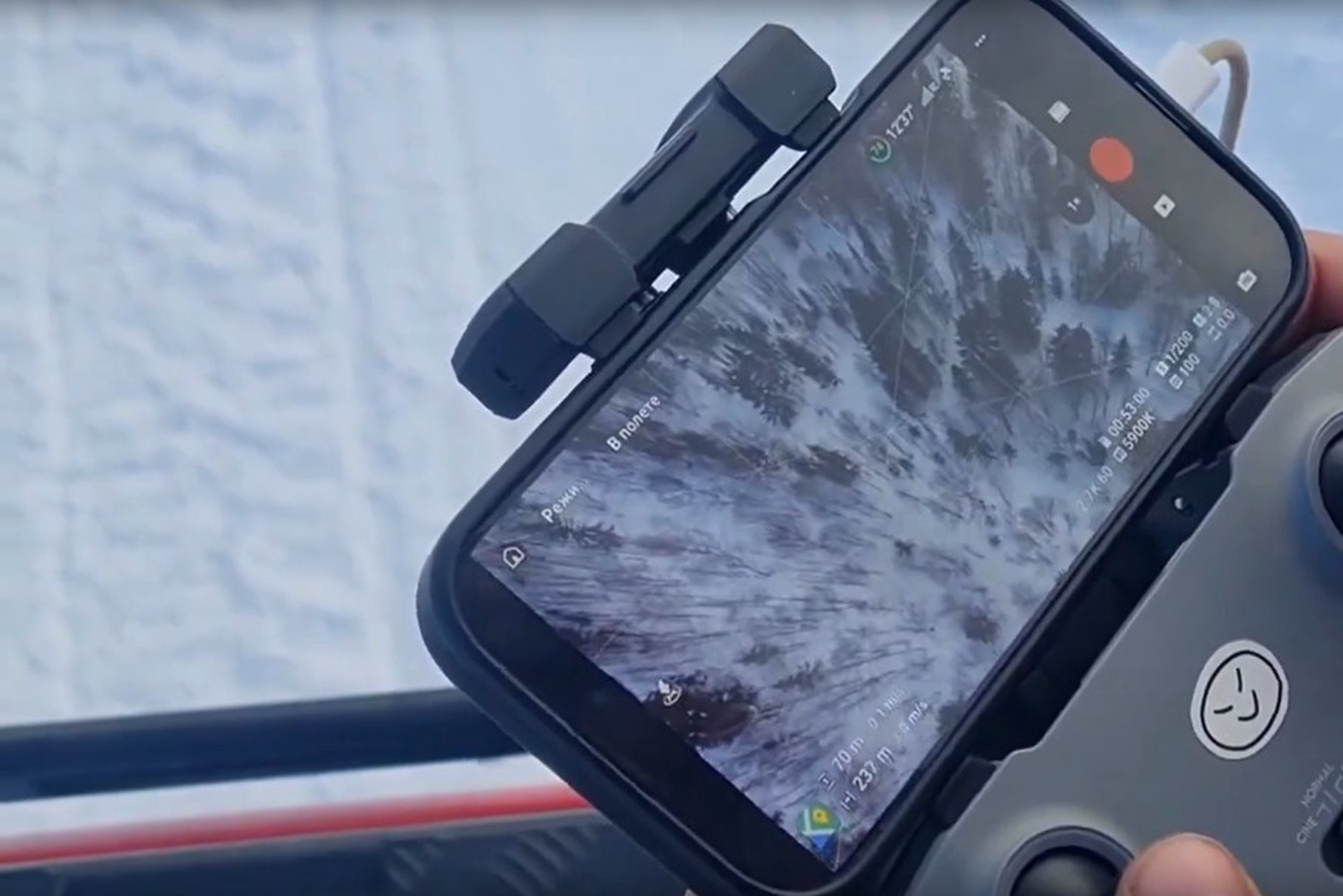 Волонтер рассказала, что известно о пропаже трех подростков в Звенигороде