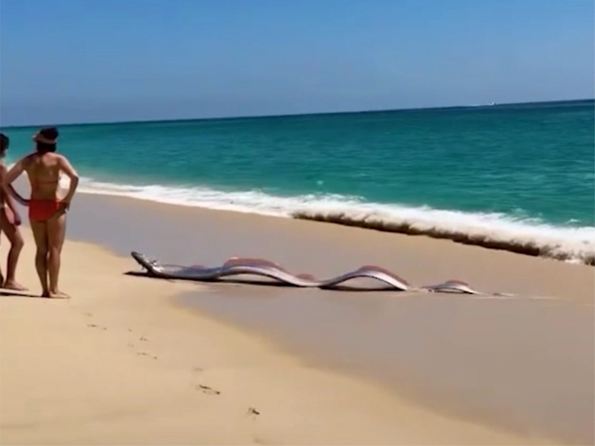 Двух предвестников Судного дня обнаружили у побережья Мексики