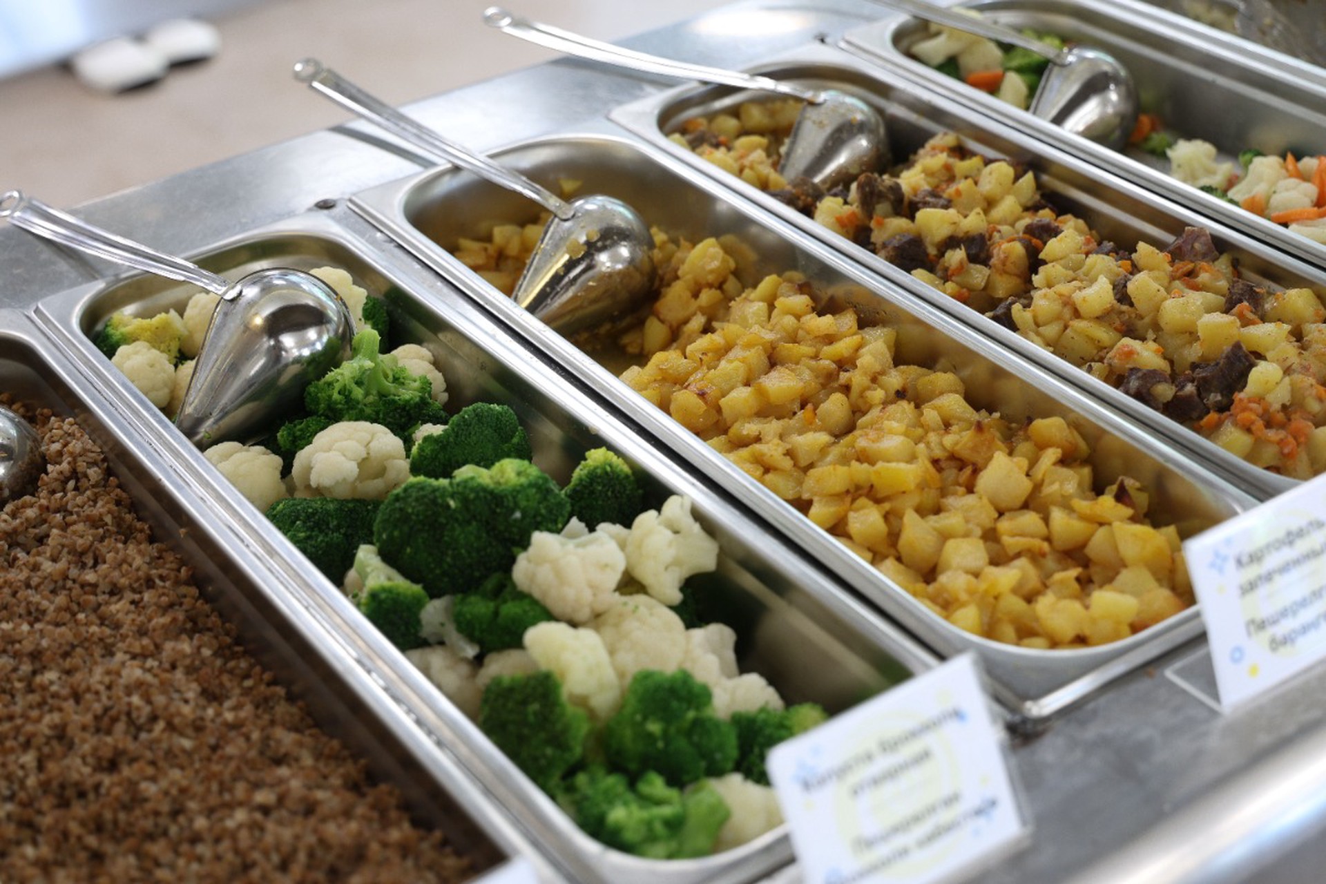 В Госдуме объяснили, как будет работать законопроект о праве на диетическое питание в школах