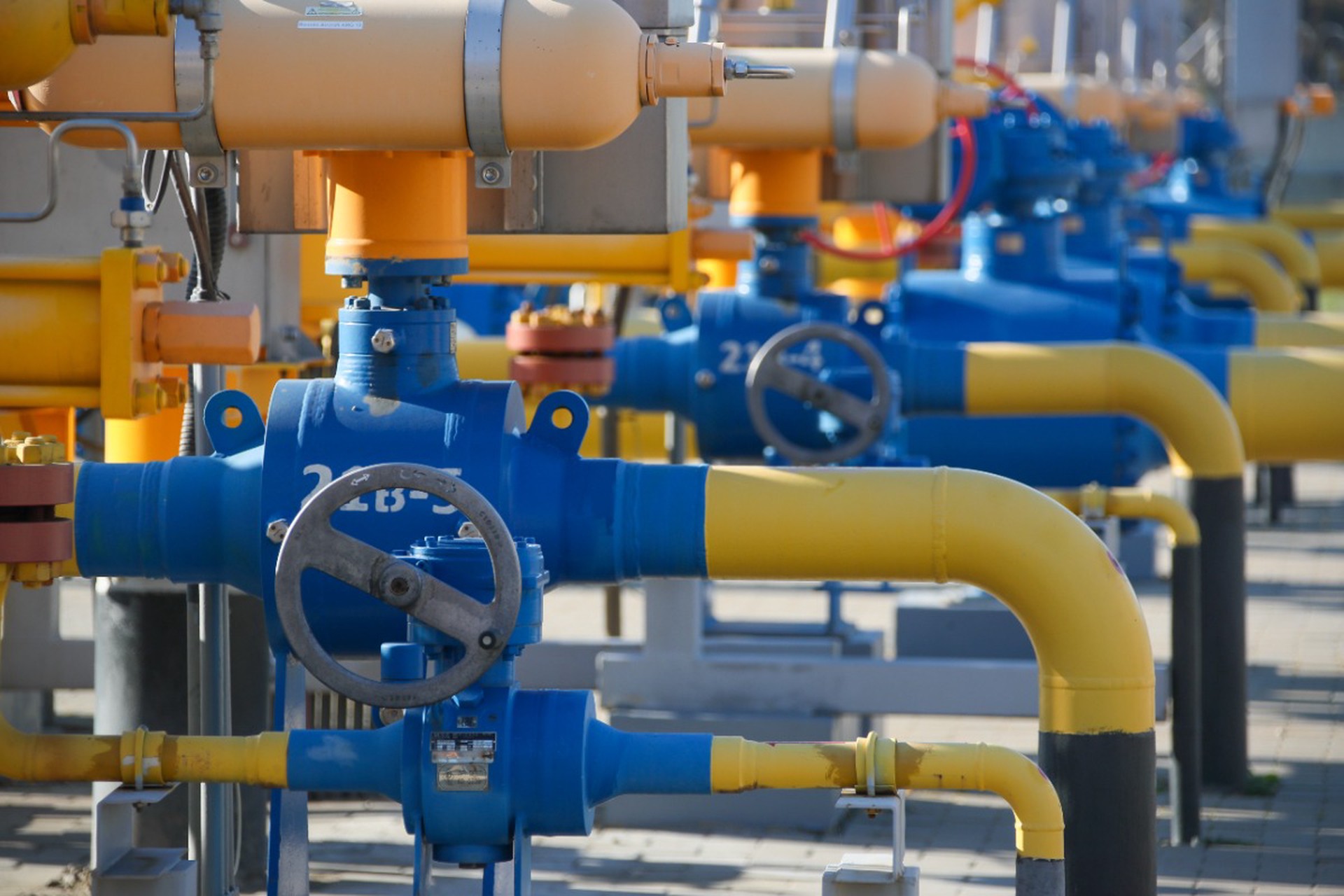 Путин предупредил о планах Украины взорвать «Турецкий поток»