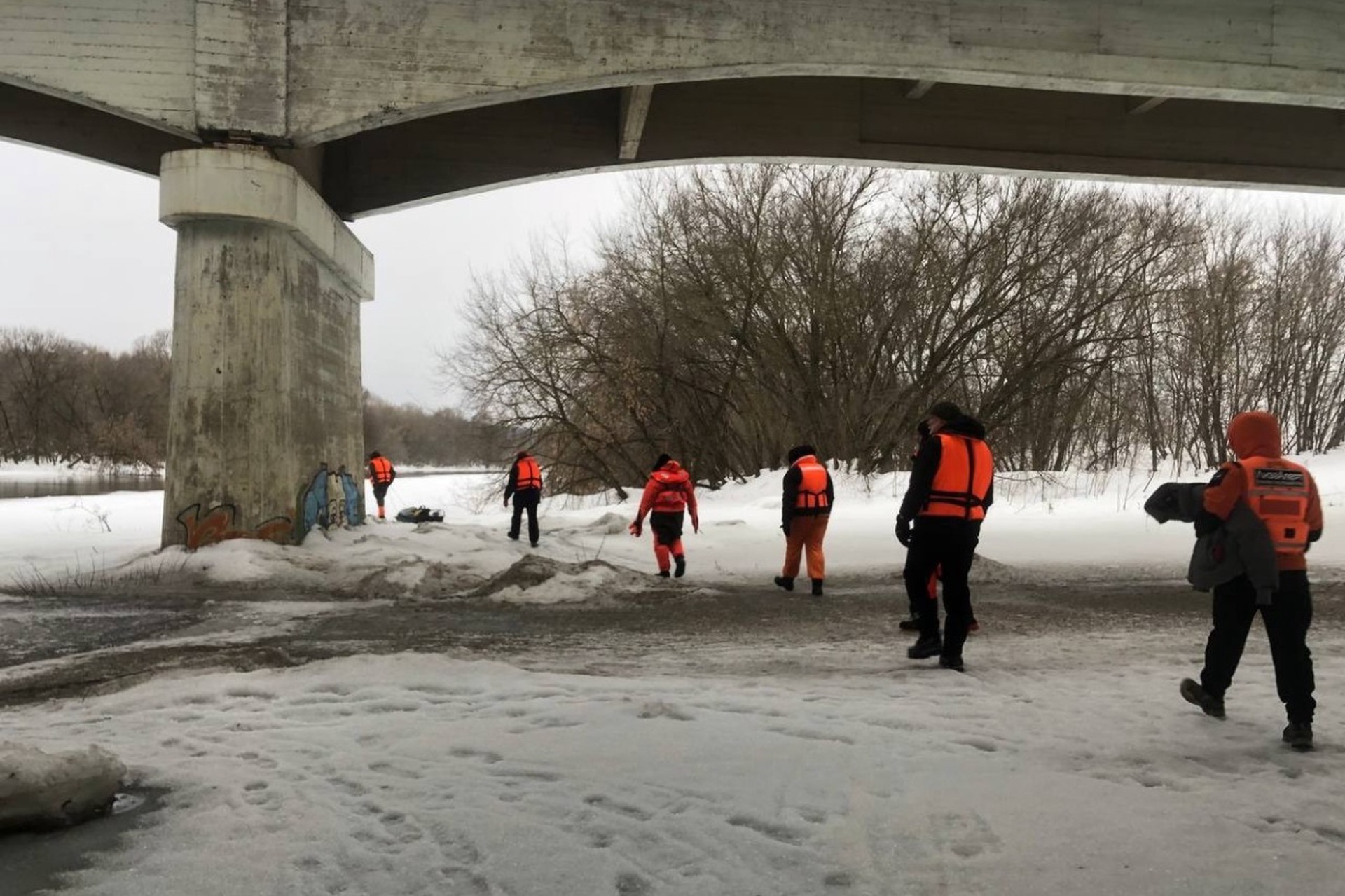 Судьба пропавших в Звенигороде детей остается неизвестной