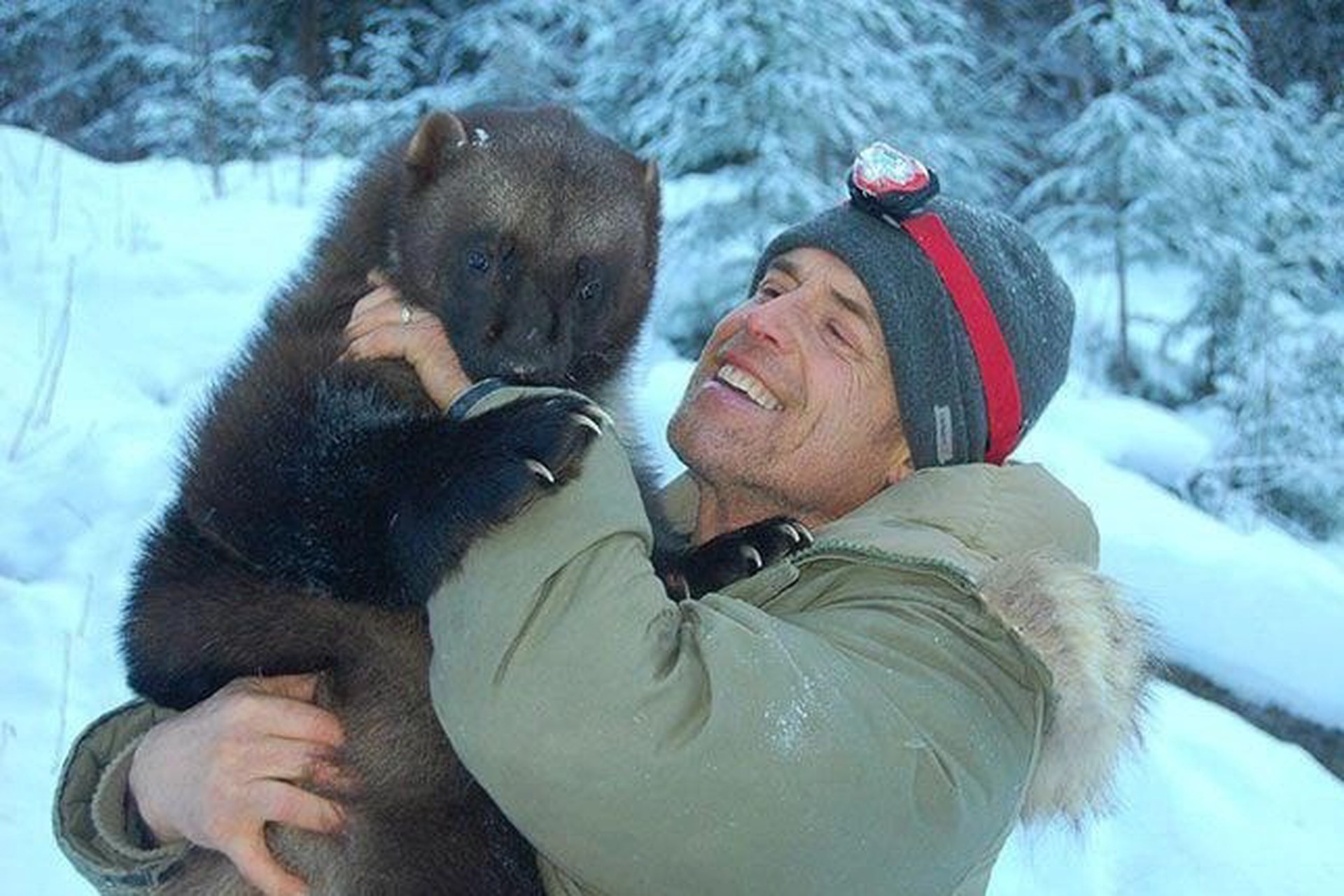 Приручивший росомах режиссер из США попросил убежища в России