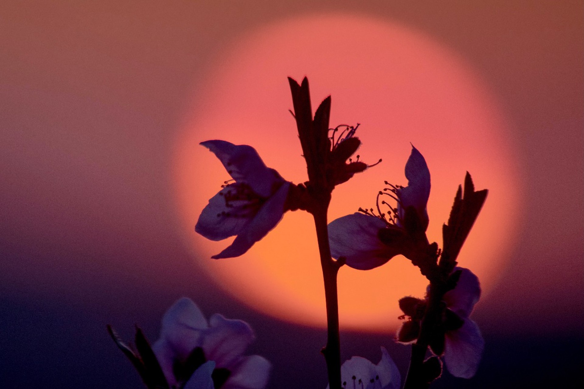 День весеннего равноденствия 20 марта: традиции и приметы