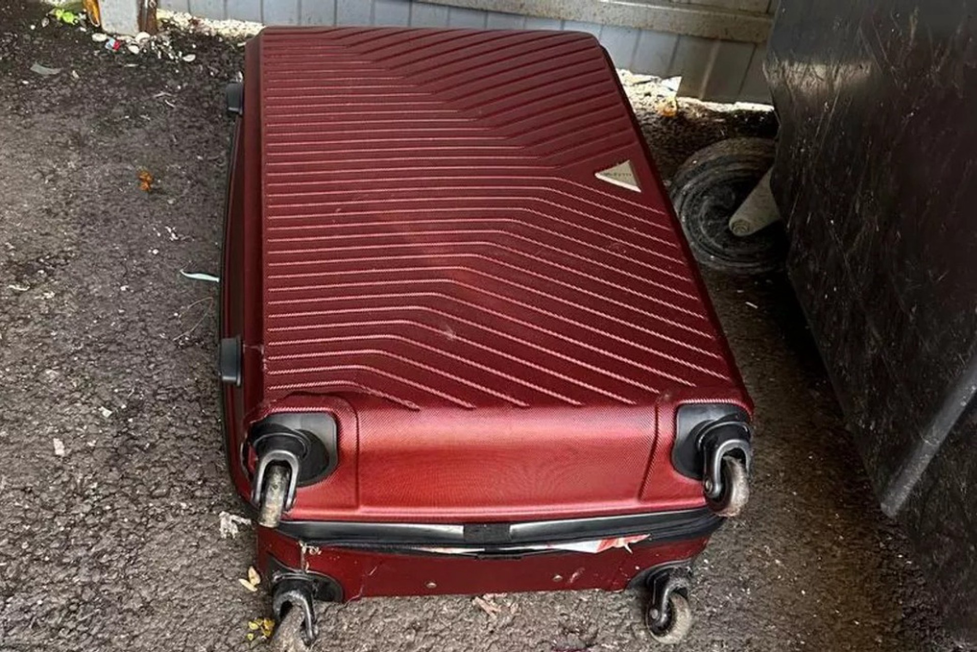 Названа причина убийства и расчленения женщины в Красногорске