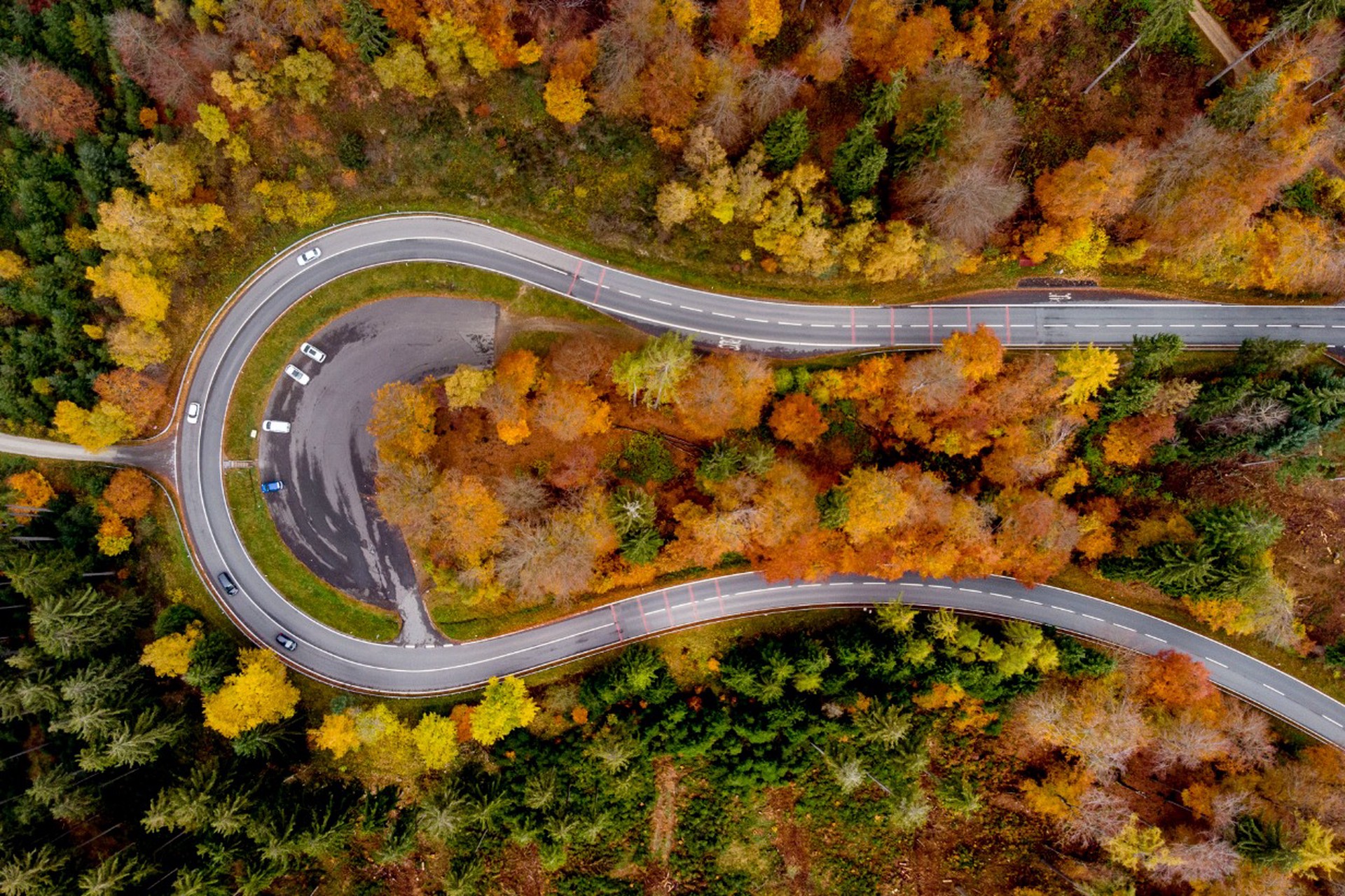 Международный день лесов 21 марта: экологические проблемы и решения