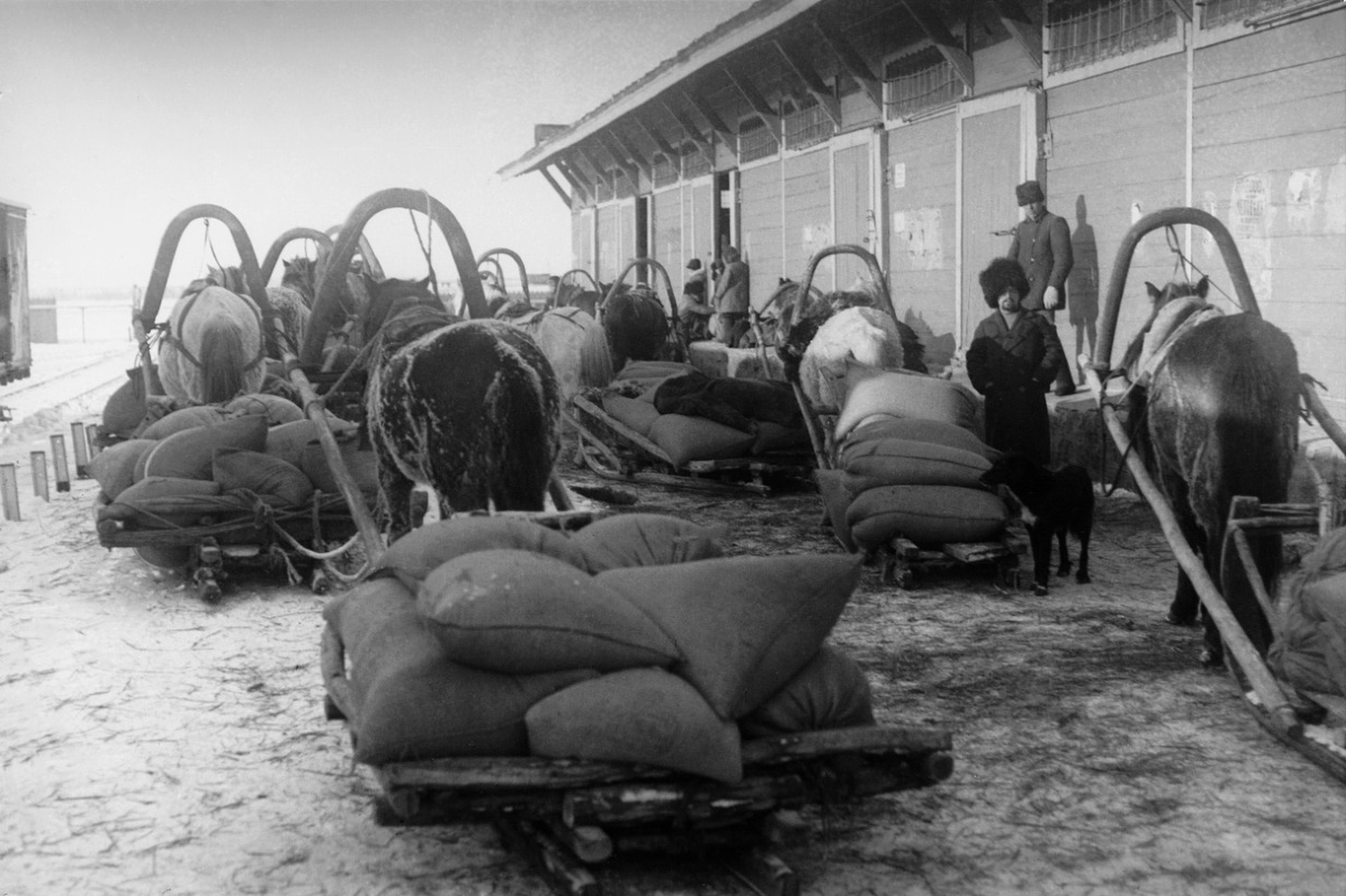 Отведали кулаков: как введение продналога изменило Страну Советов