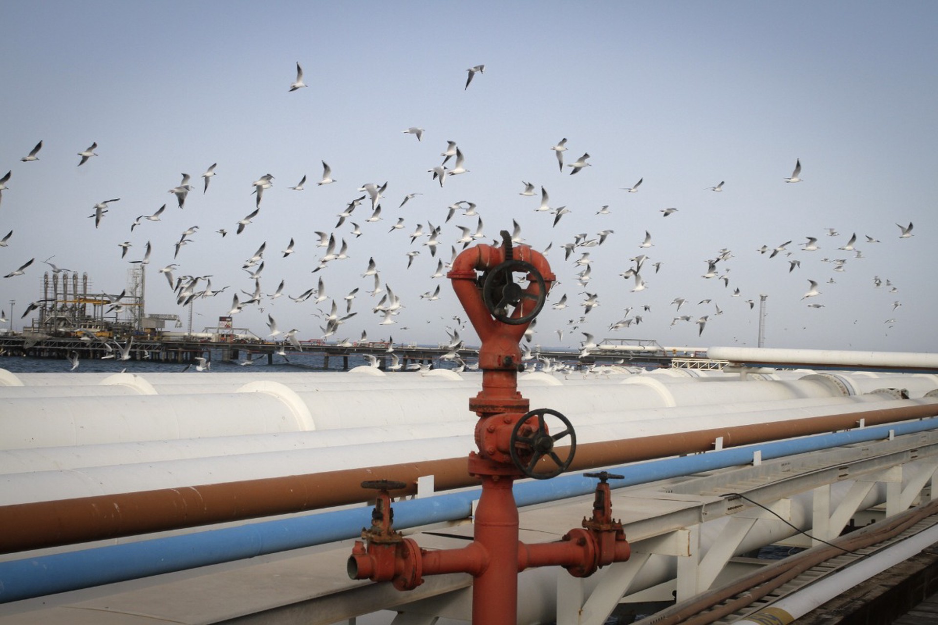 Харк победы: зачем американцы хотят захватить небольшой остров в Иране