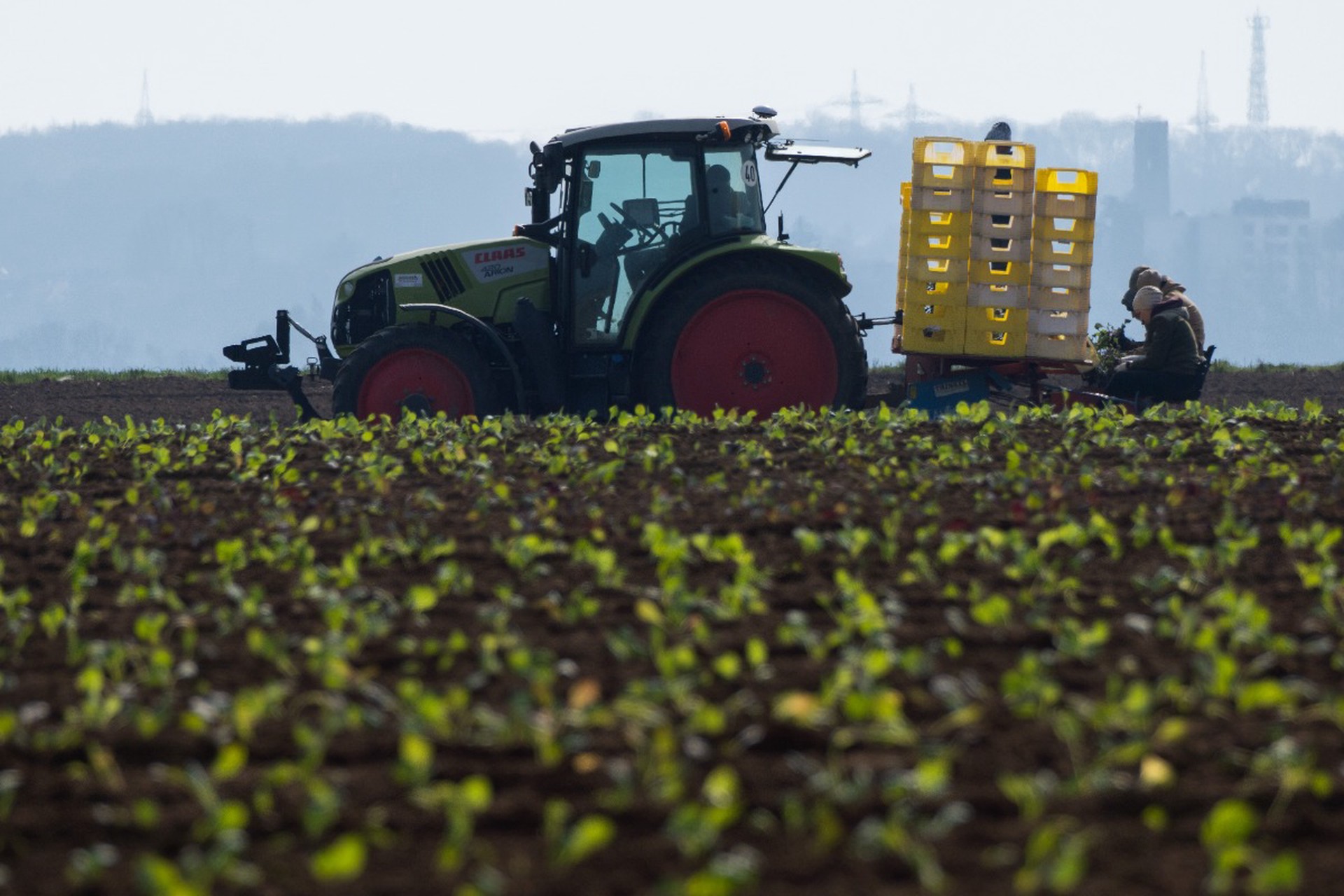 Политолог предрек ЕС сельскохозяйственный кризис из-за ситуации на Ближнем Востоке