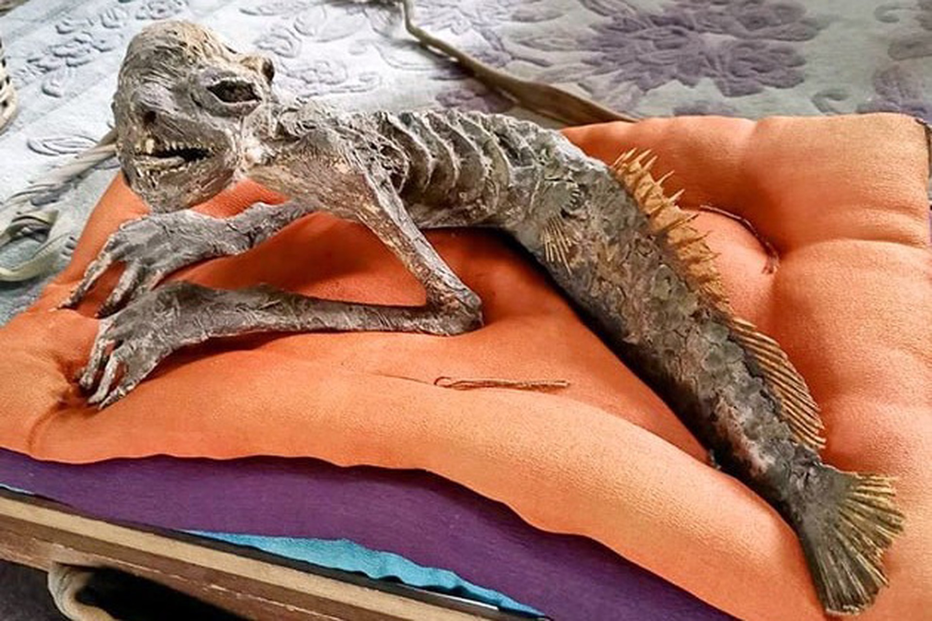 Мумию ужасающего существа выставили на торги в Японии