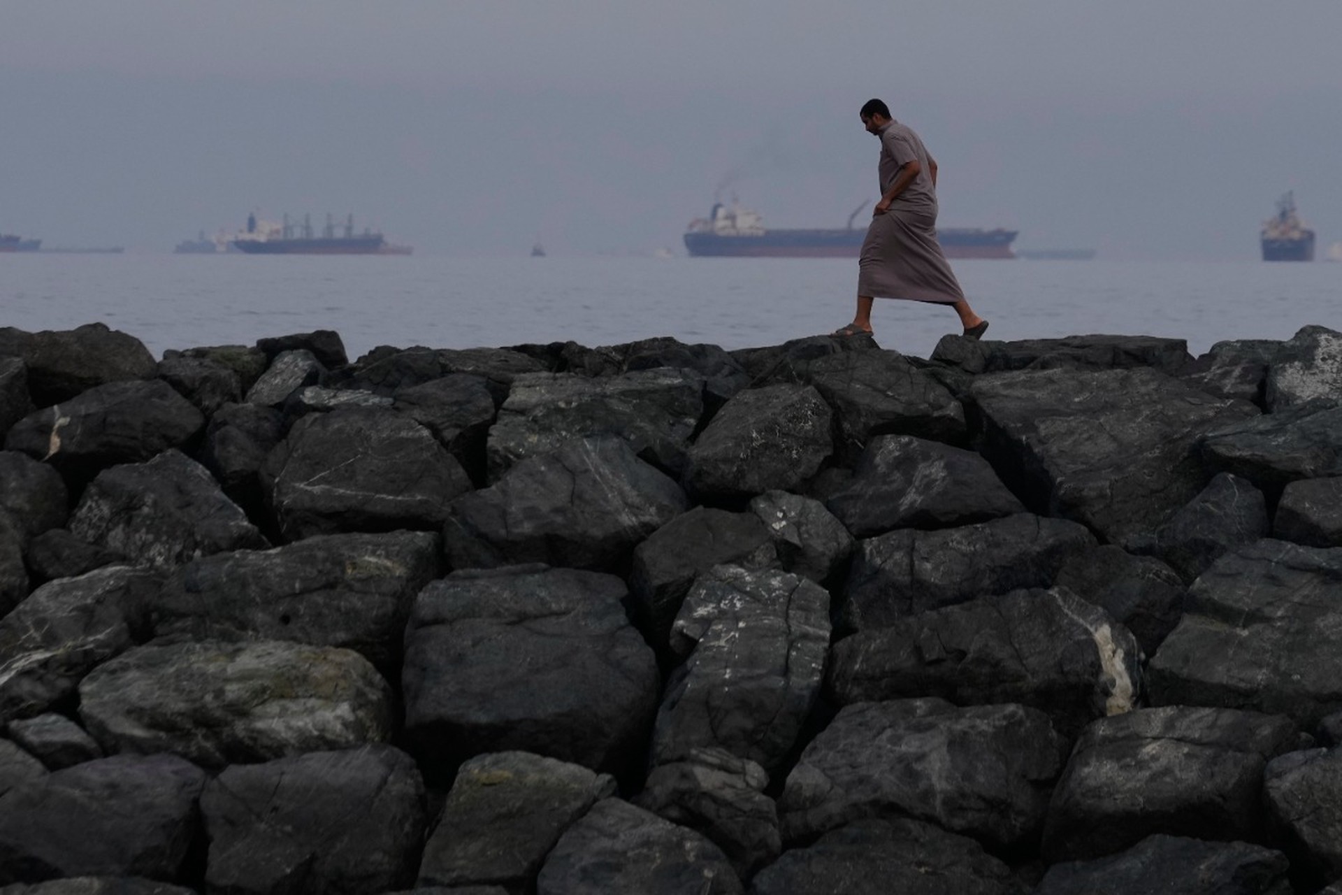 Эмираты заявили о готовности направить ВМС в Ормузский пролив