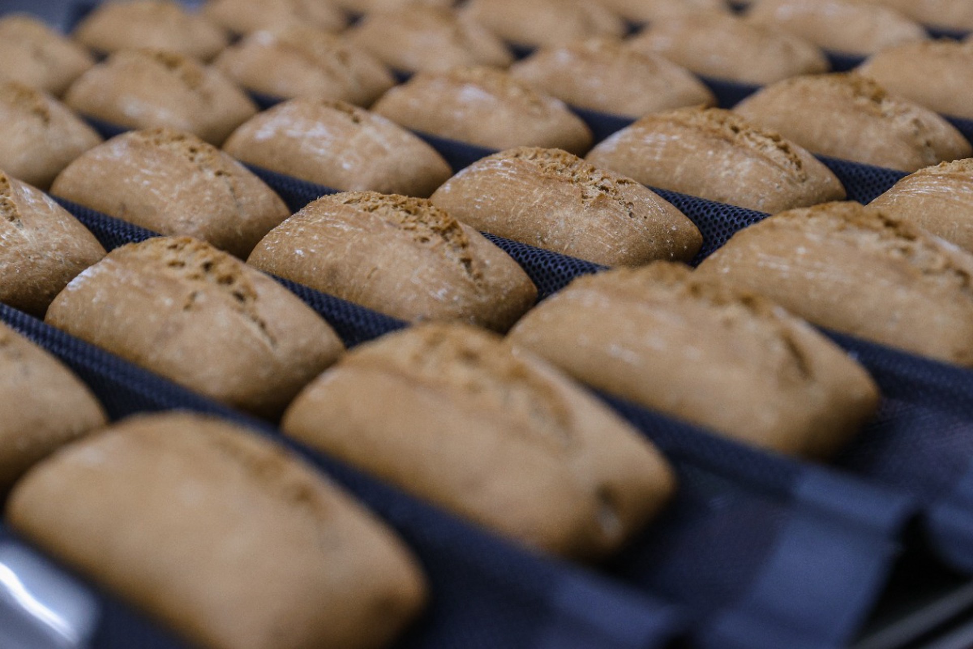 В России появятся новые ГОСТы на выпечку