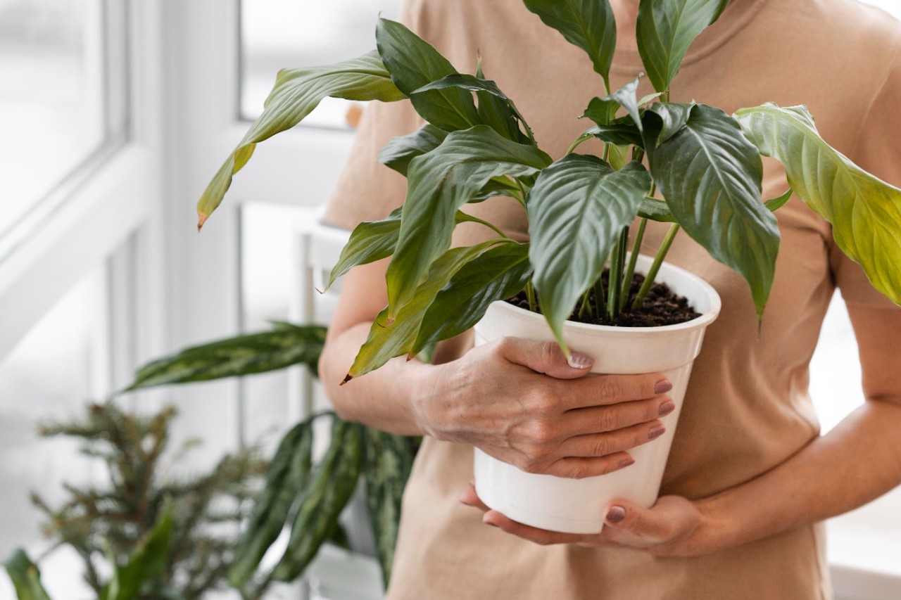 Бюджетный ремонт в квартире: весенние идеи, которые действительно работают