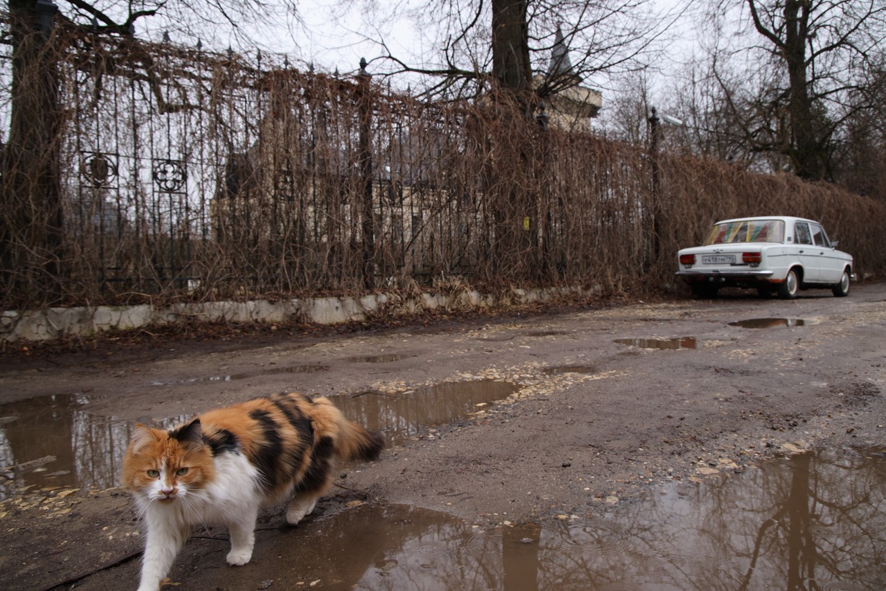 Фото © Анастасия Романова / Абзац