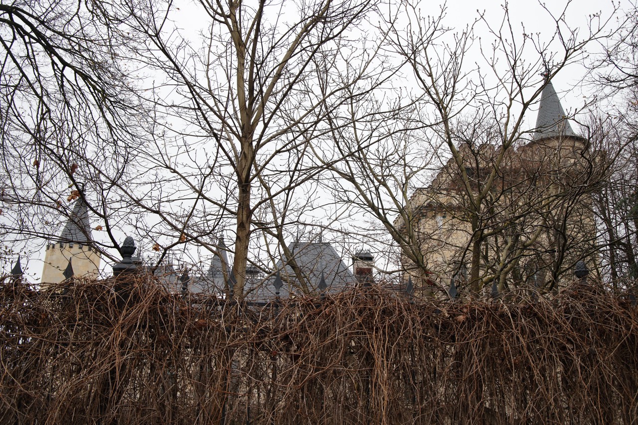 Фото © Анастасия Романова / Абзац