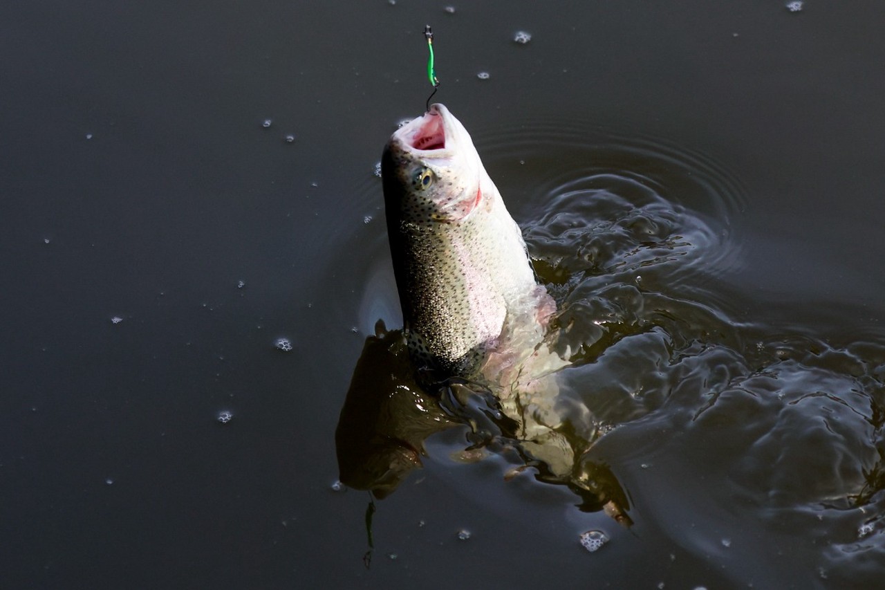 Рыбалка в апреле: на что ловить и где искать рыбу