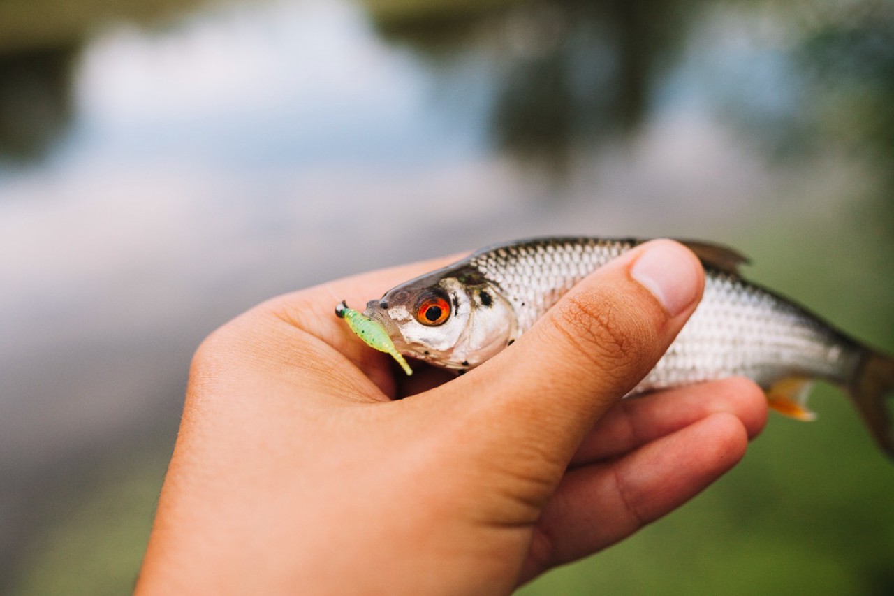 Рыбалка в апреле: на что ловить и где искать рыбу