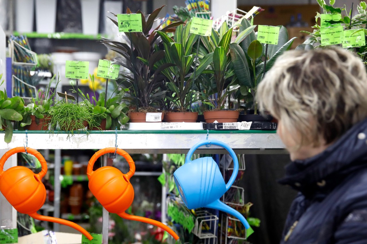 Инструменты для дачи: что нужно купить в апреле