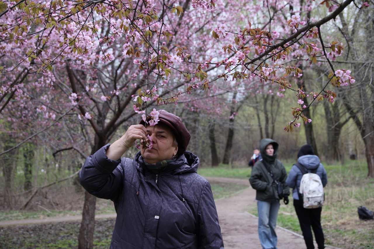 Фото © Анастасия Романова / Абзац
