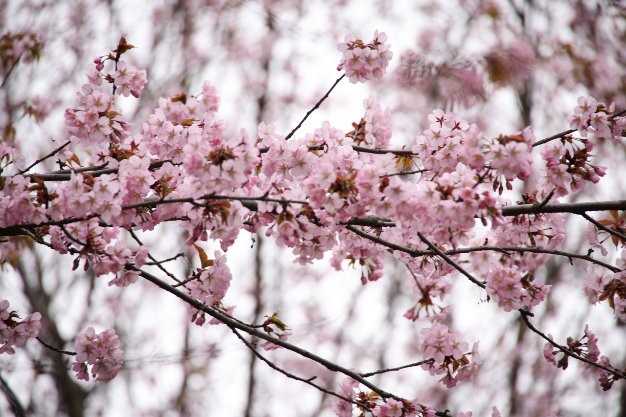 Фото © Анастасия Романова / Абзац