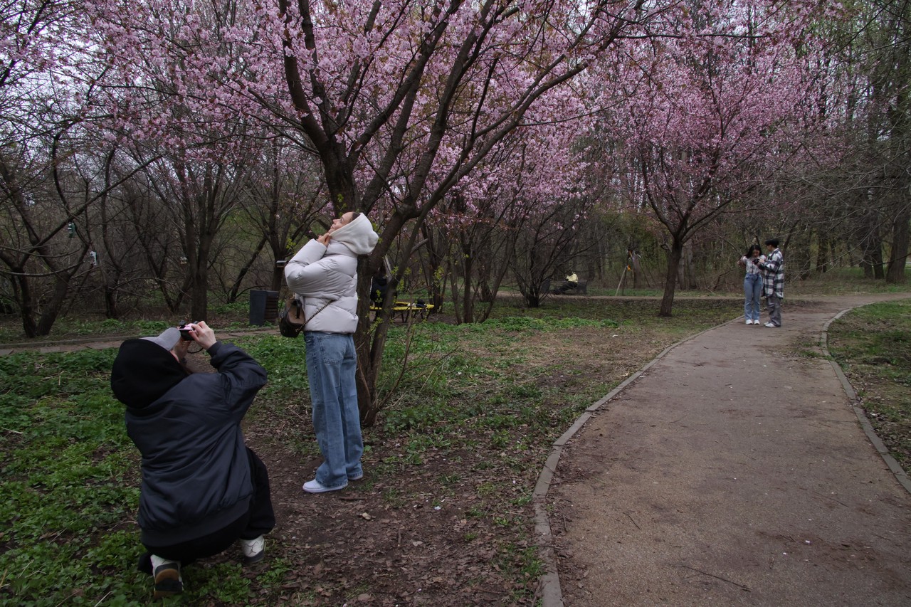 Фото © Анастасия Романова / Абзац