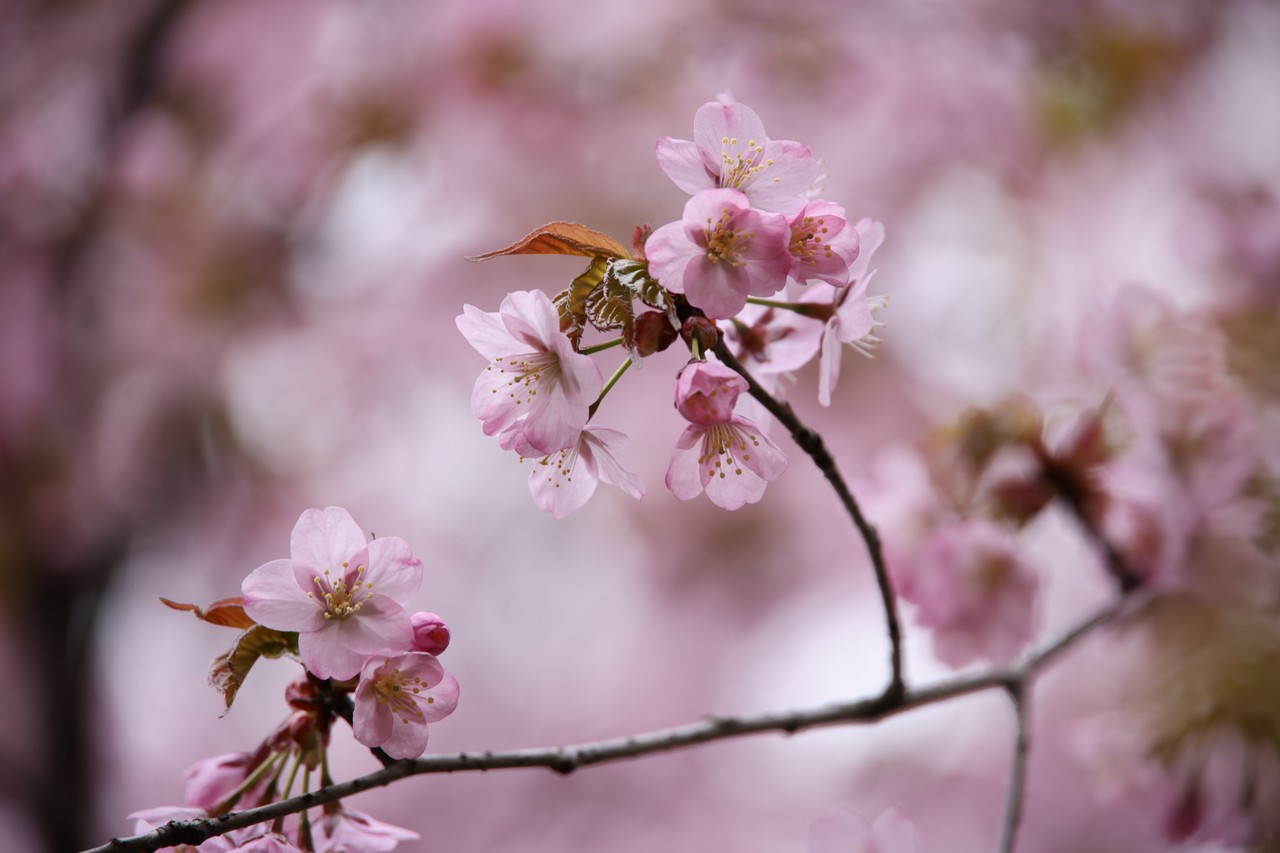 Фото © Анастасия Романова / Абзац
